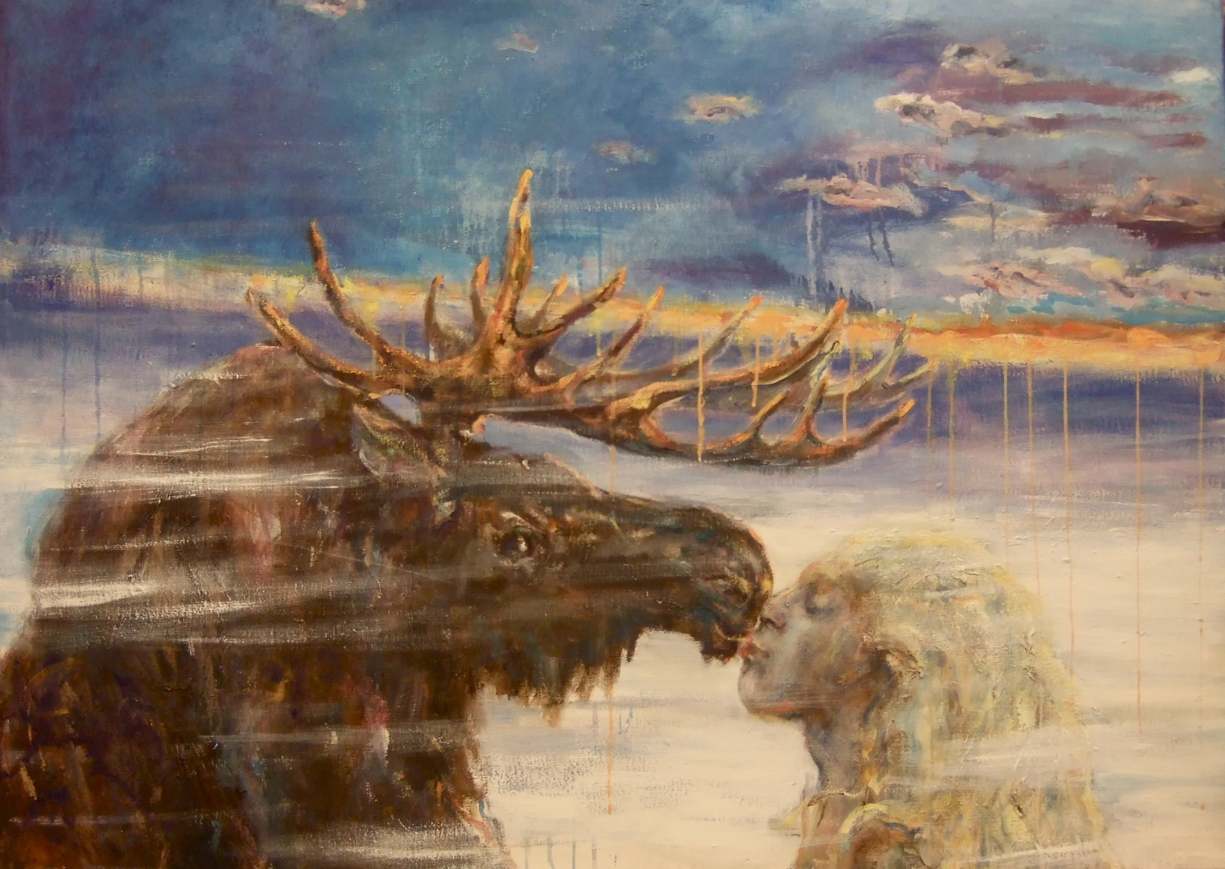 19.EB Kiss of the Moose,serie of MoosesDSCF6444.JPG