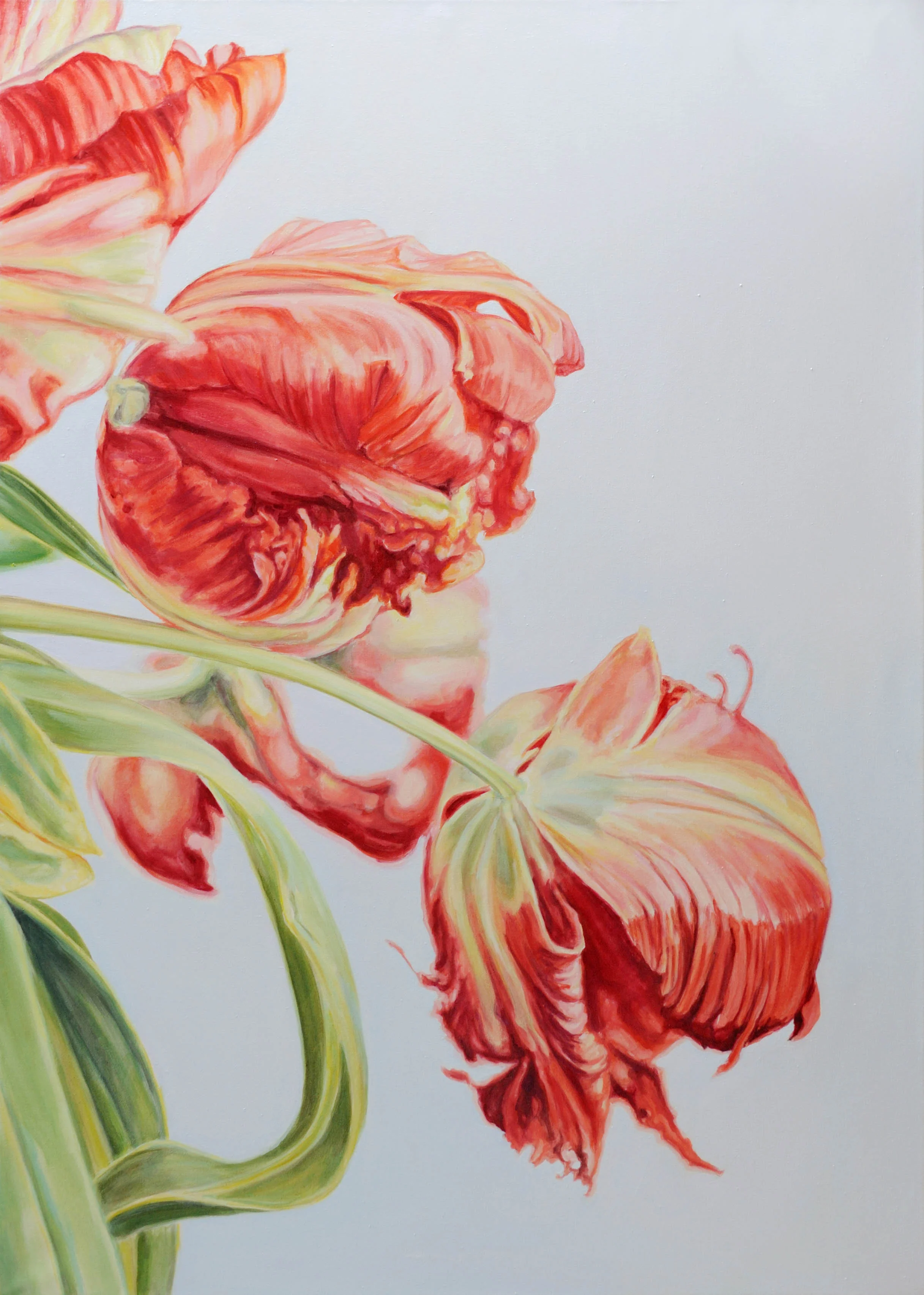 7_When the Flowers Dream VIII.jpg