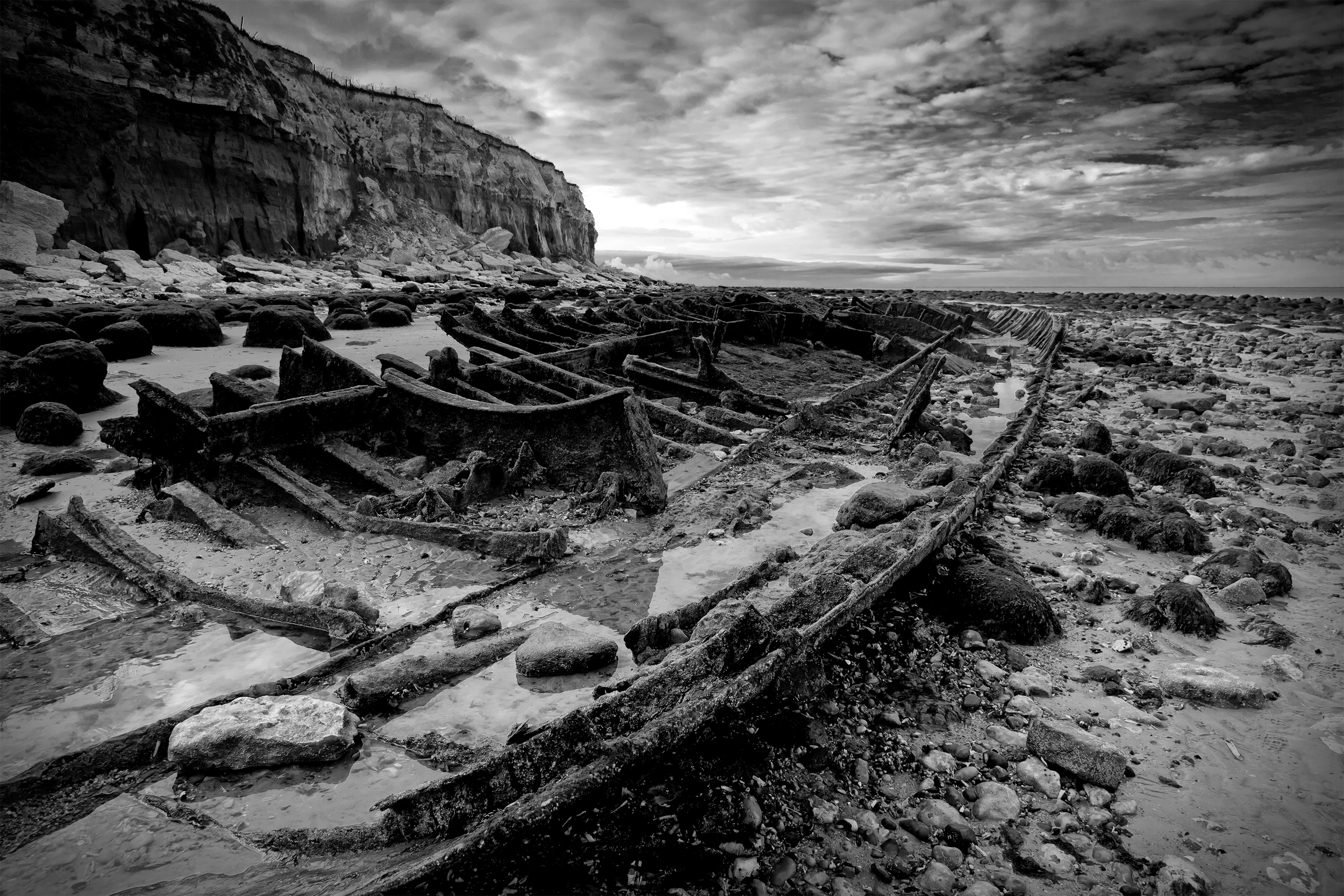 19_Wooden Bones on the Beach.jpg