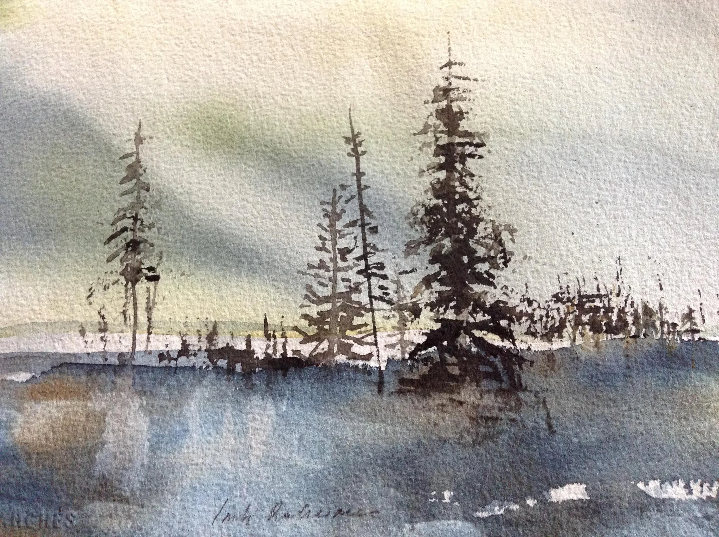 9_Fir_Trees2.jpg