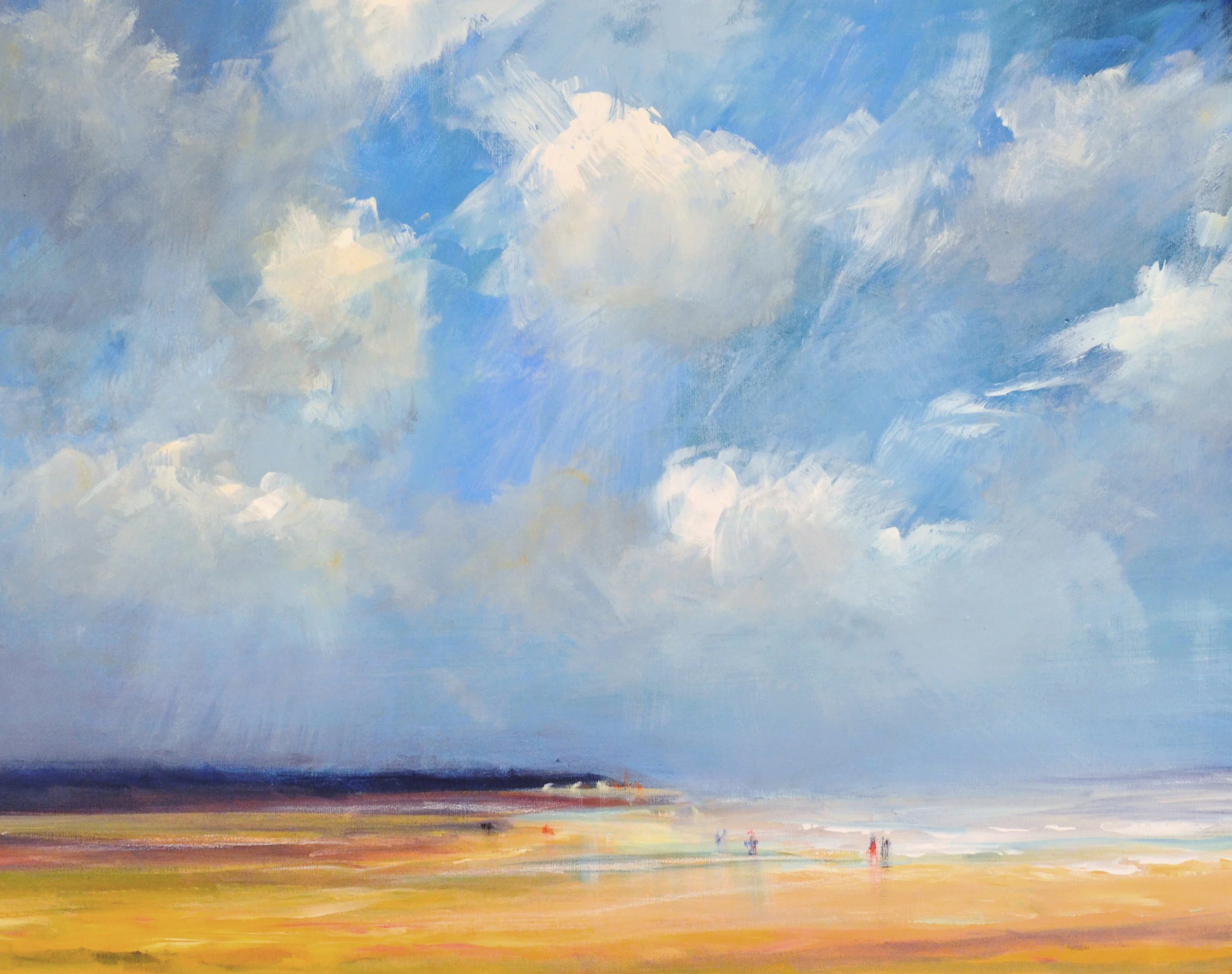 1_Beach Vrouwenpolder_Wimvandewege.JPG