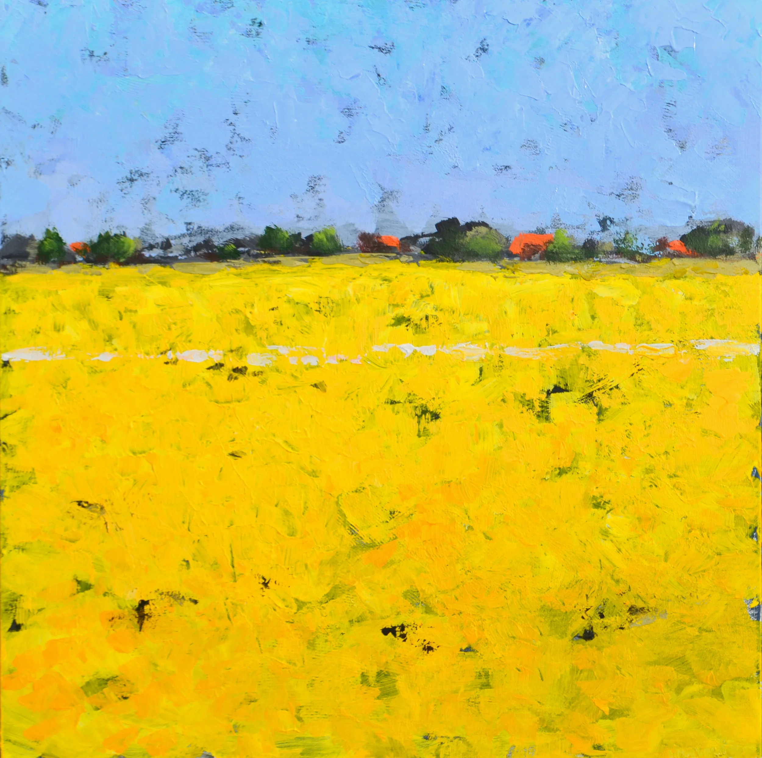 9_coleseedfields.jpg