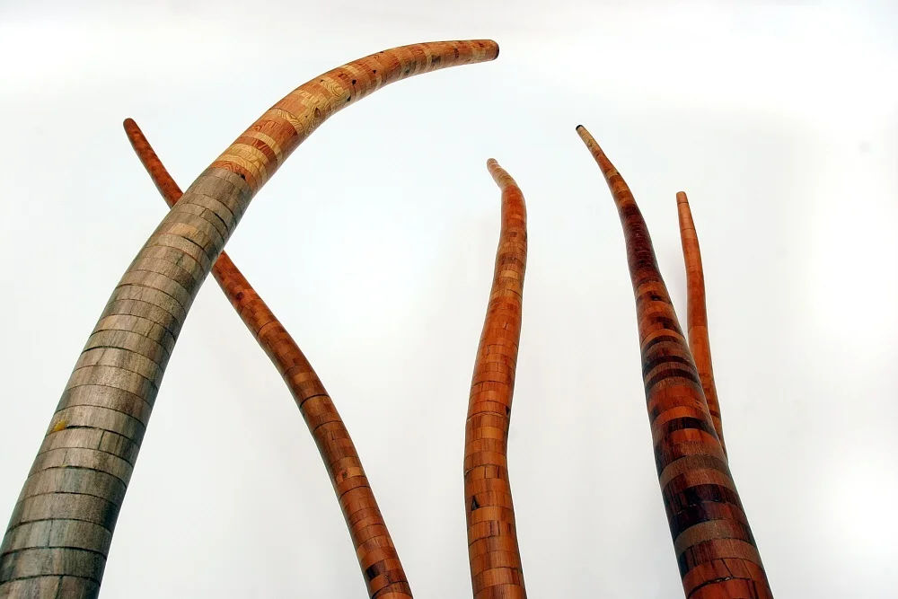 9_Escultura Caule.jpeg