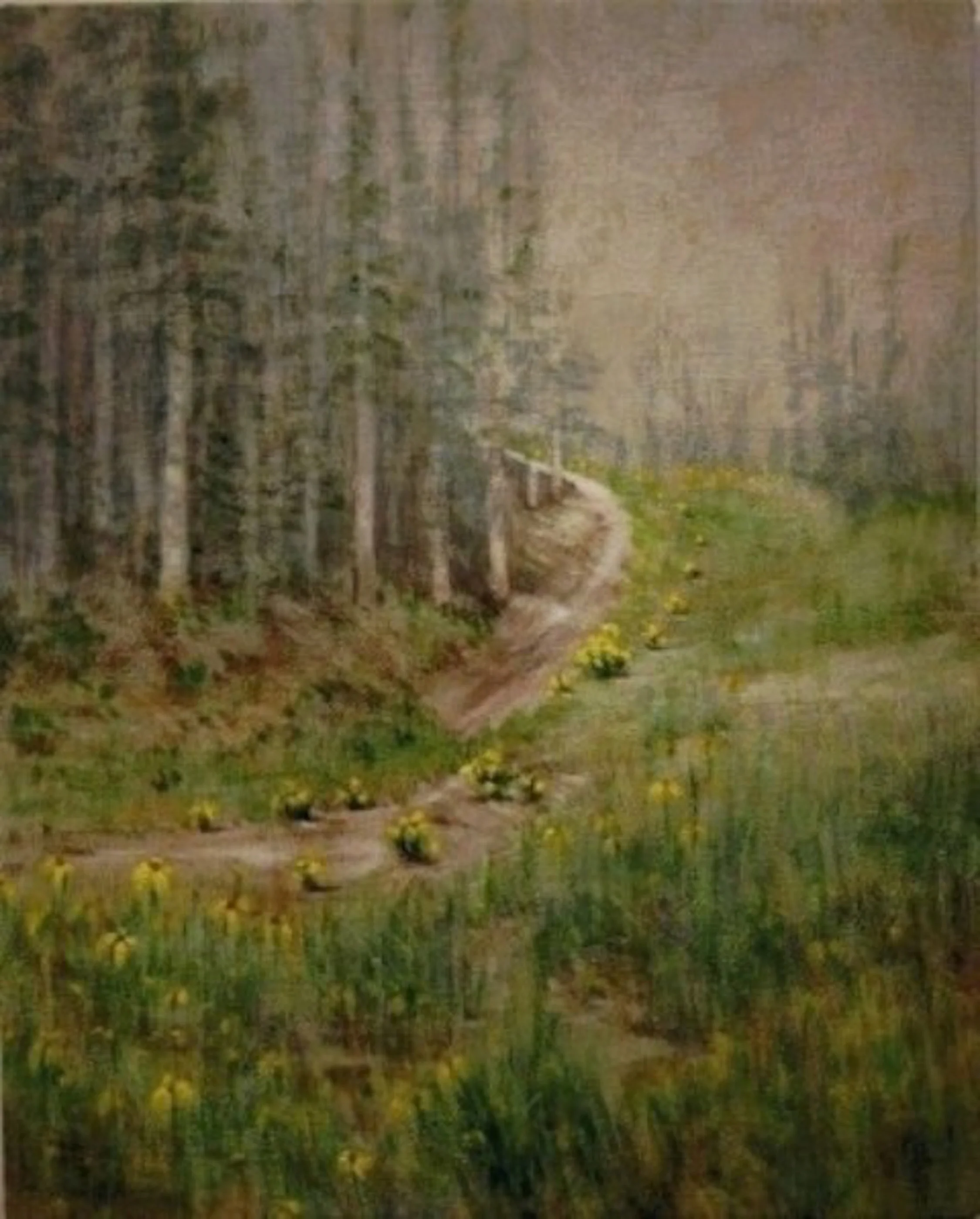 Renewal. Rocky Mt. I.jpeg