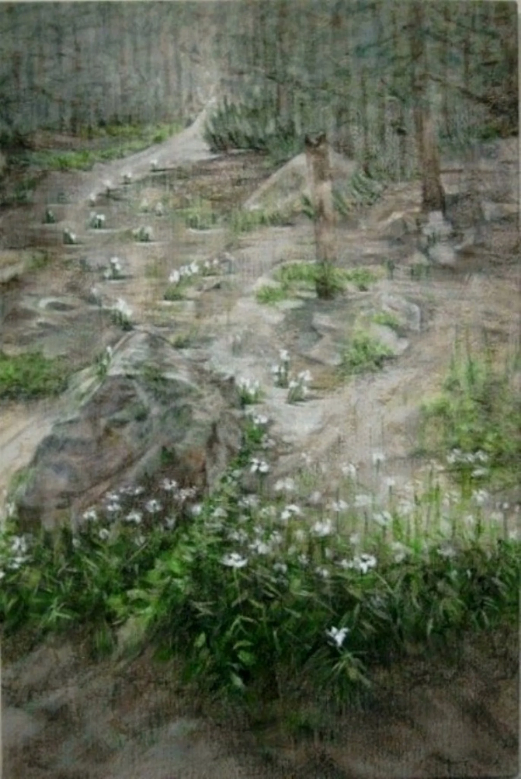 Renewal. Rocky Mt. II.jpeg