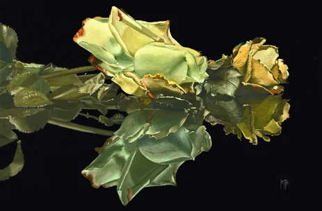 6_The beauty of transition.jpg