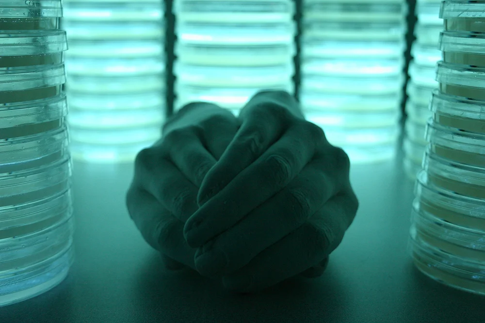 14_Hands.jpg