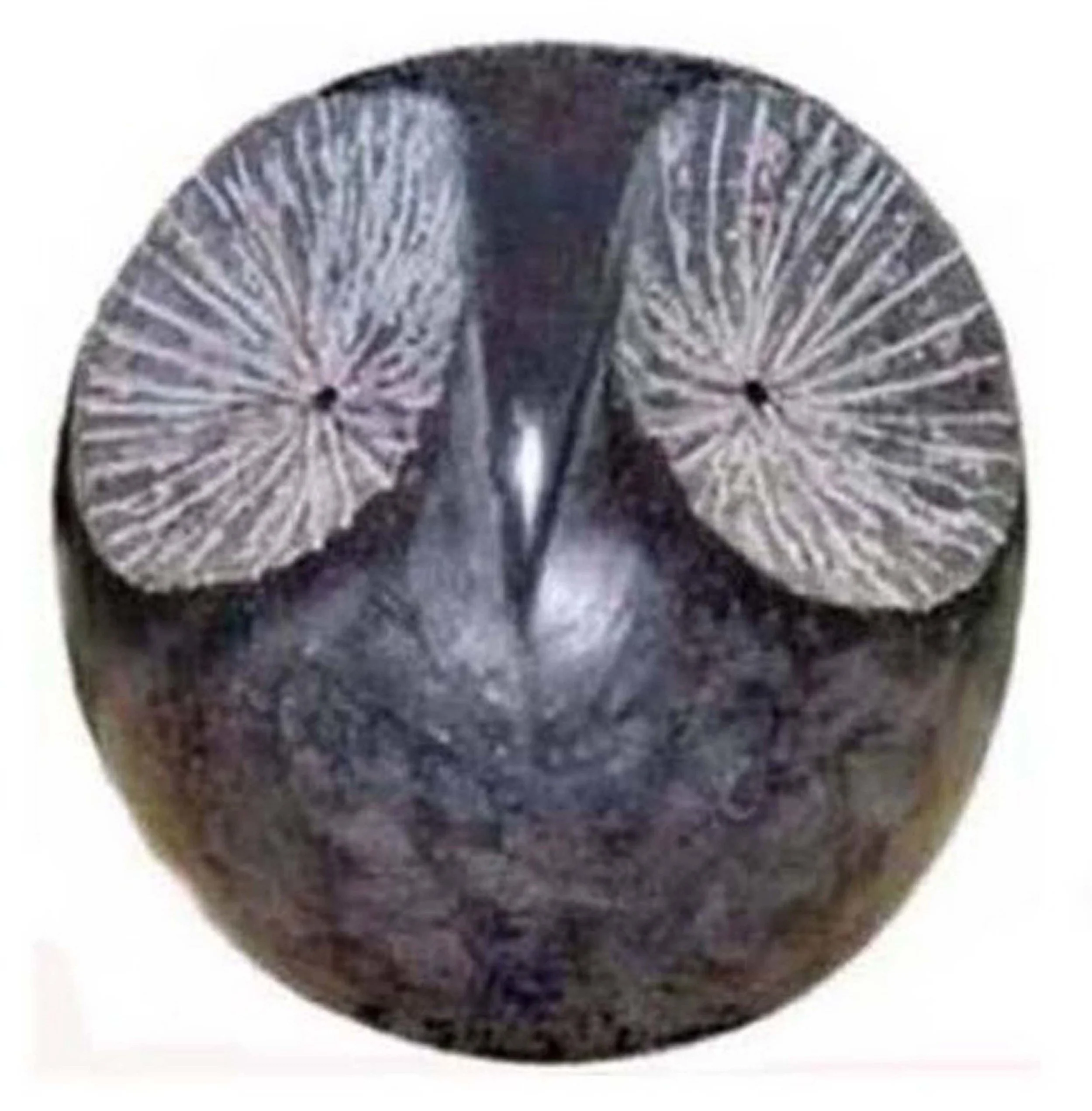 19 OWL.jpg