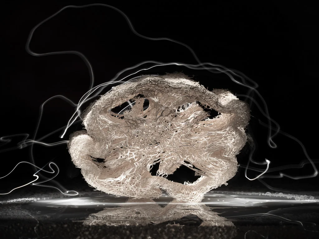 10_NEBULOSA CUORE.jpg