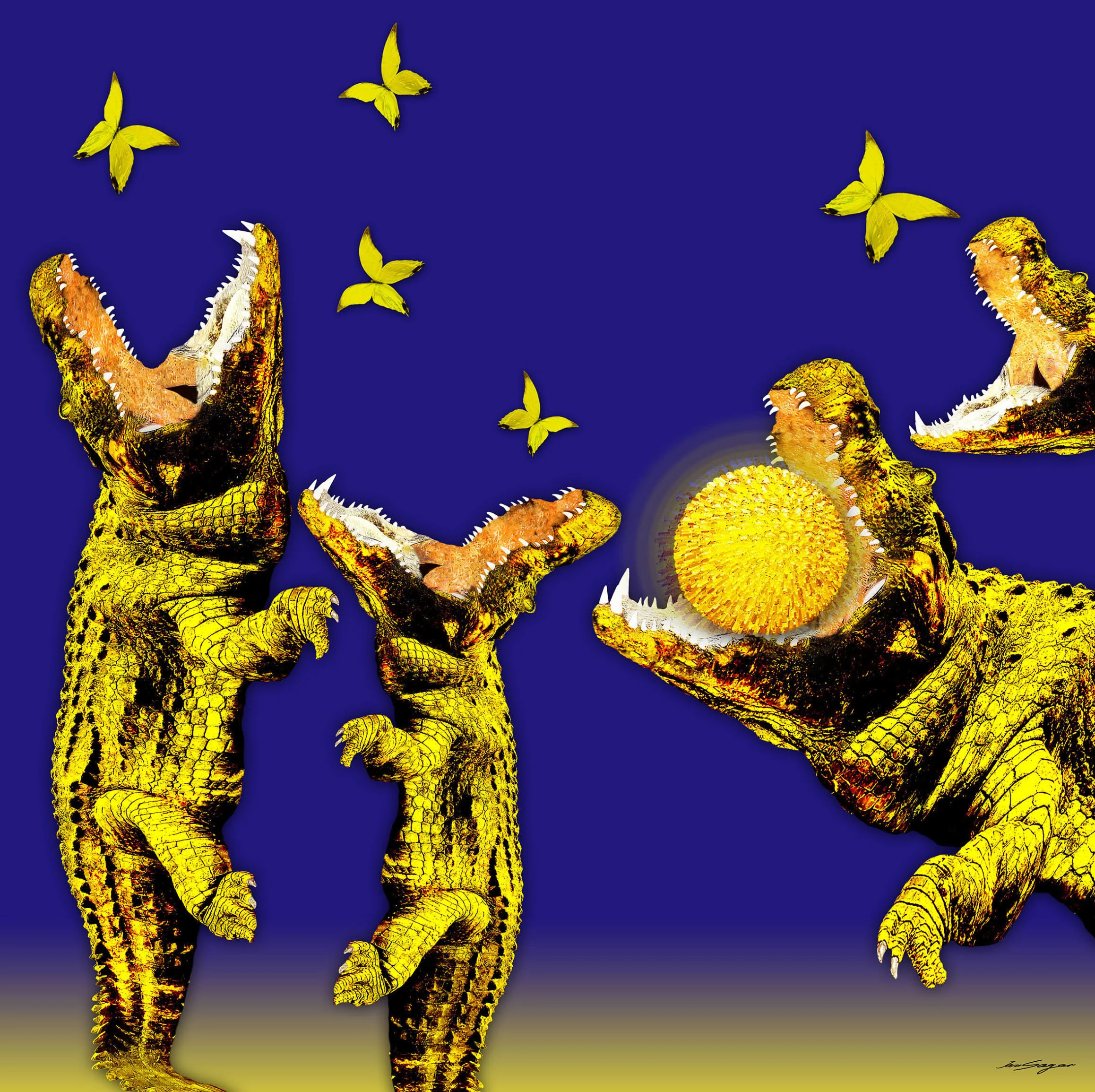 21_CROCS AND BUTTERFLIES.jpeg    by JANE SAGER.jpg