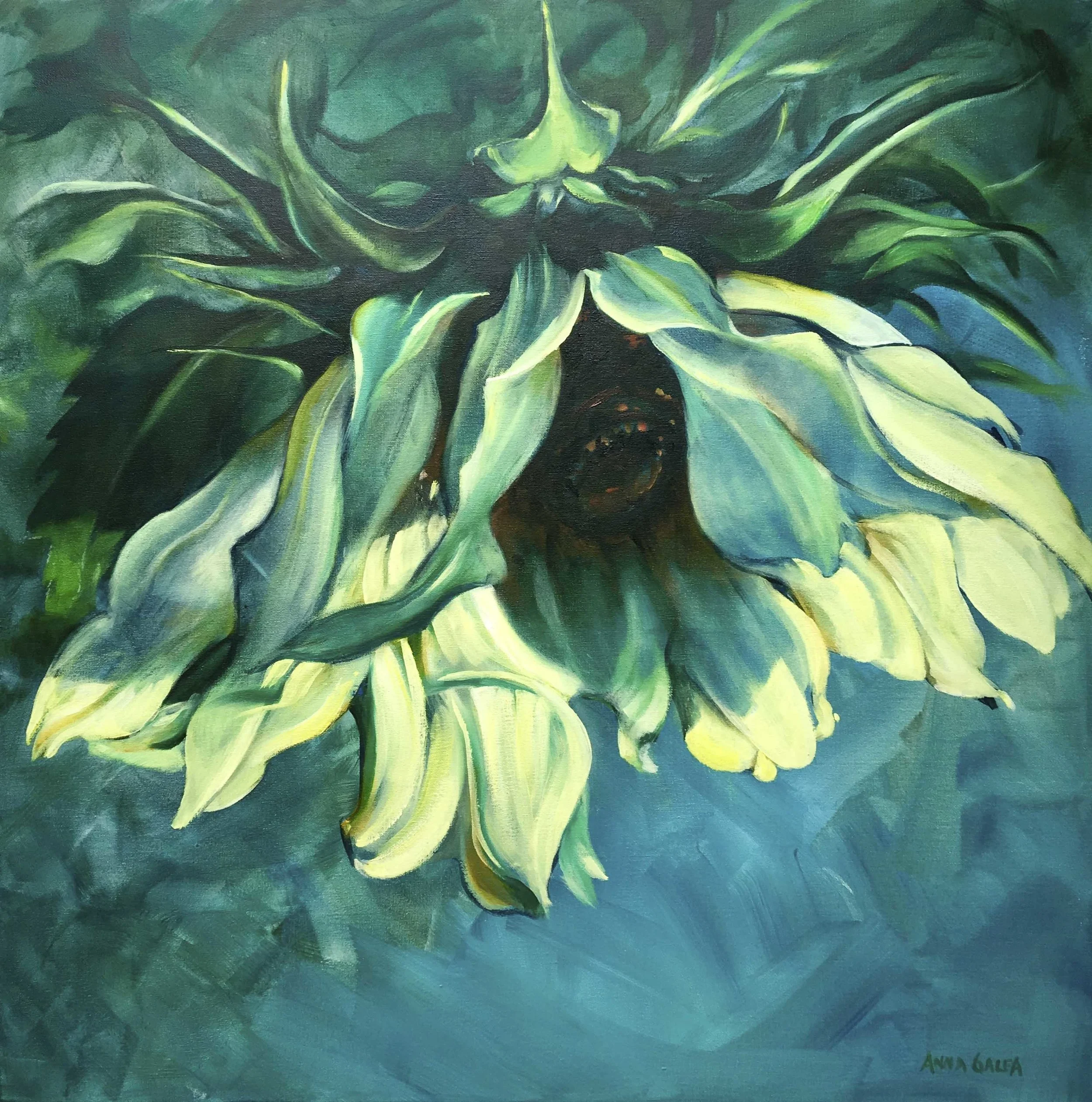 5_Sunflower glow.jpg