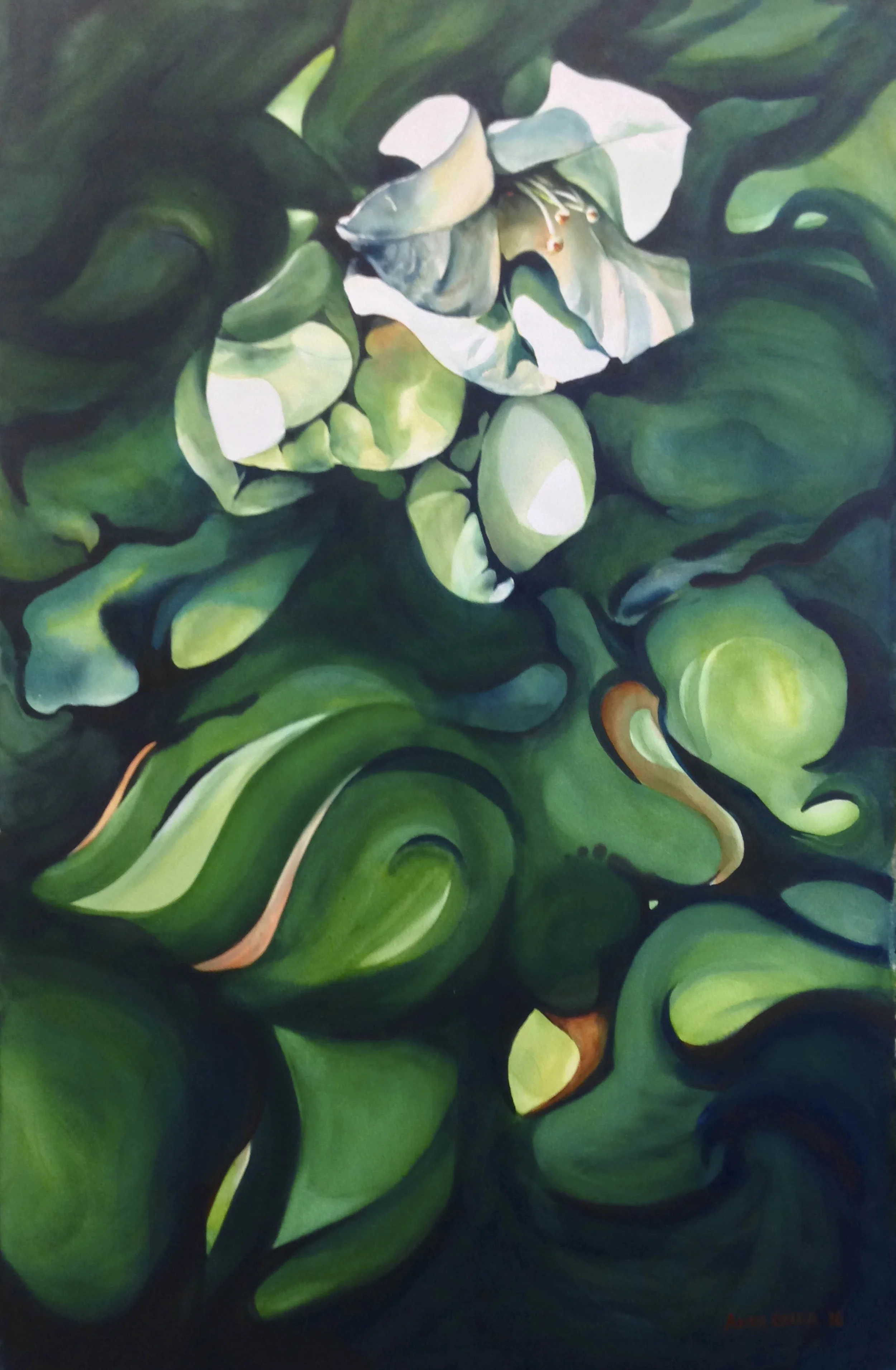 8_Bouganvillae Swirls.jpg
