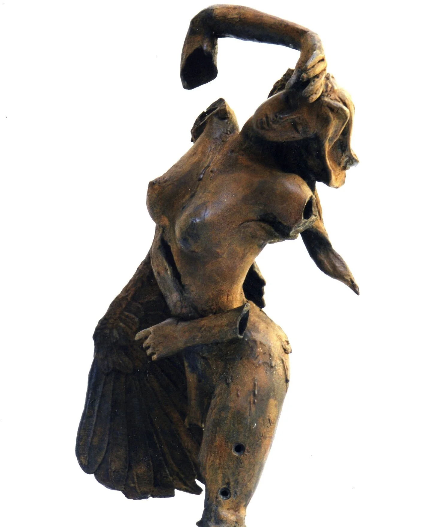 14- Libertada Coartada.jpg