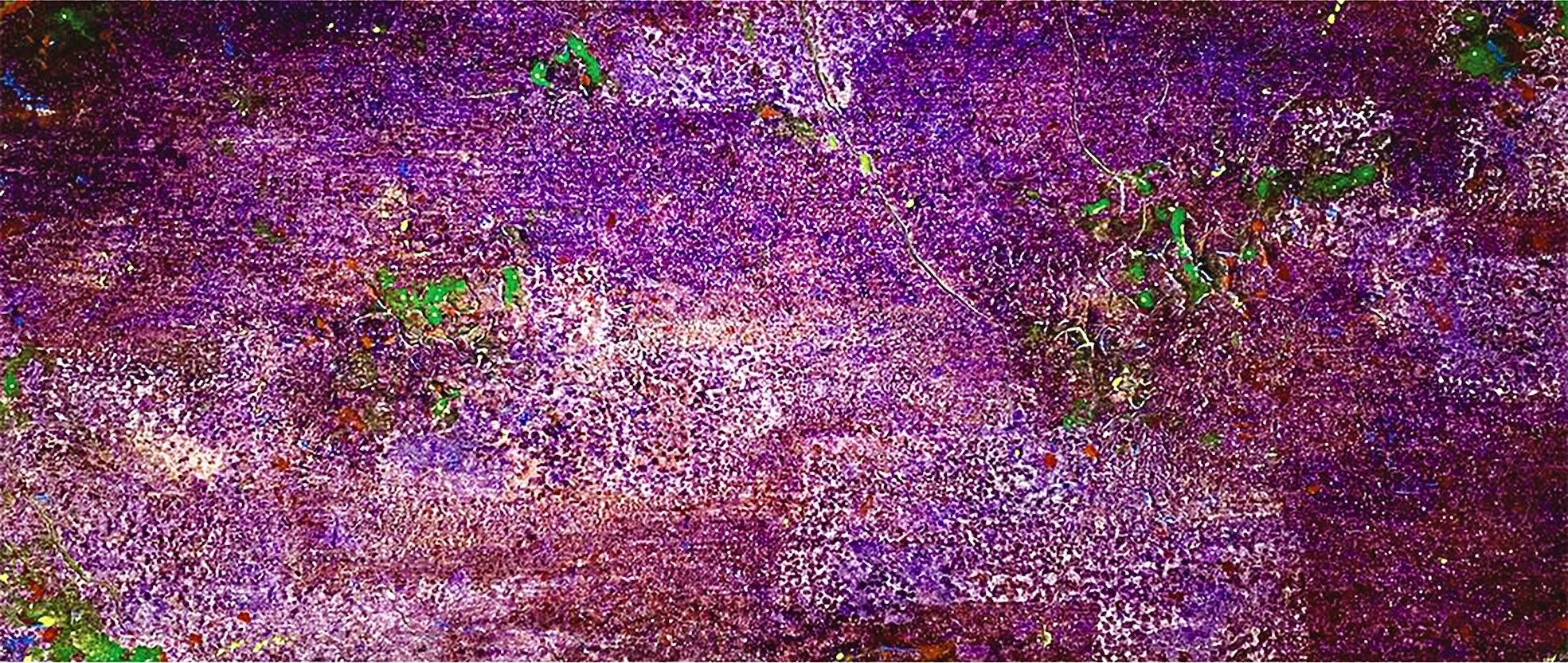 Christoph Felix Maier