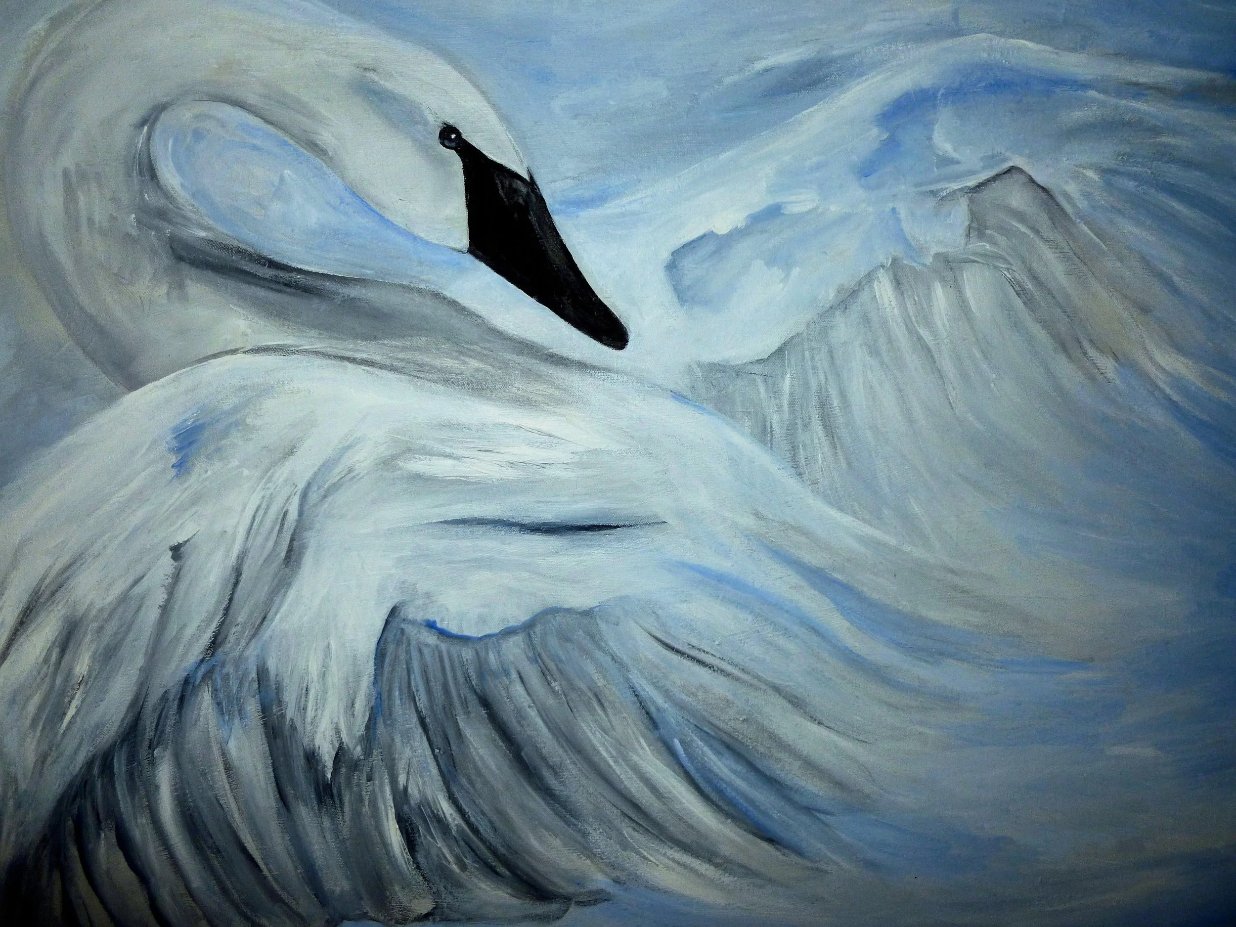 Elegance of a Swan.JPG