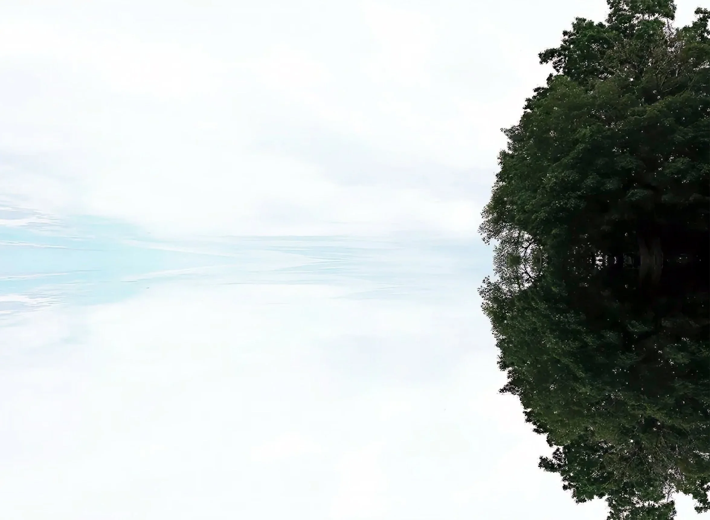 1. Travel the sky a trees Reflections.jpg