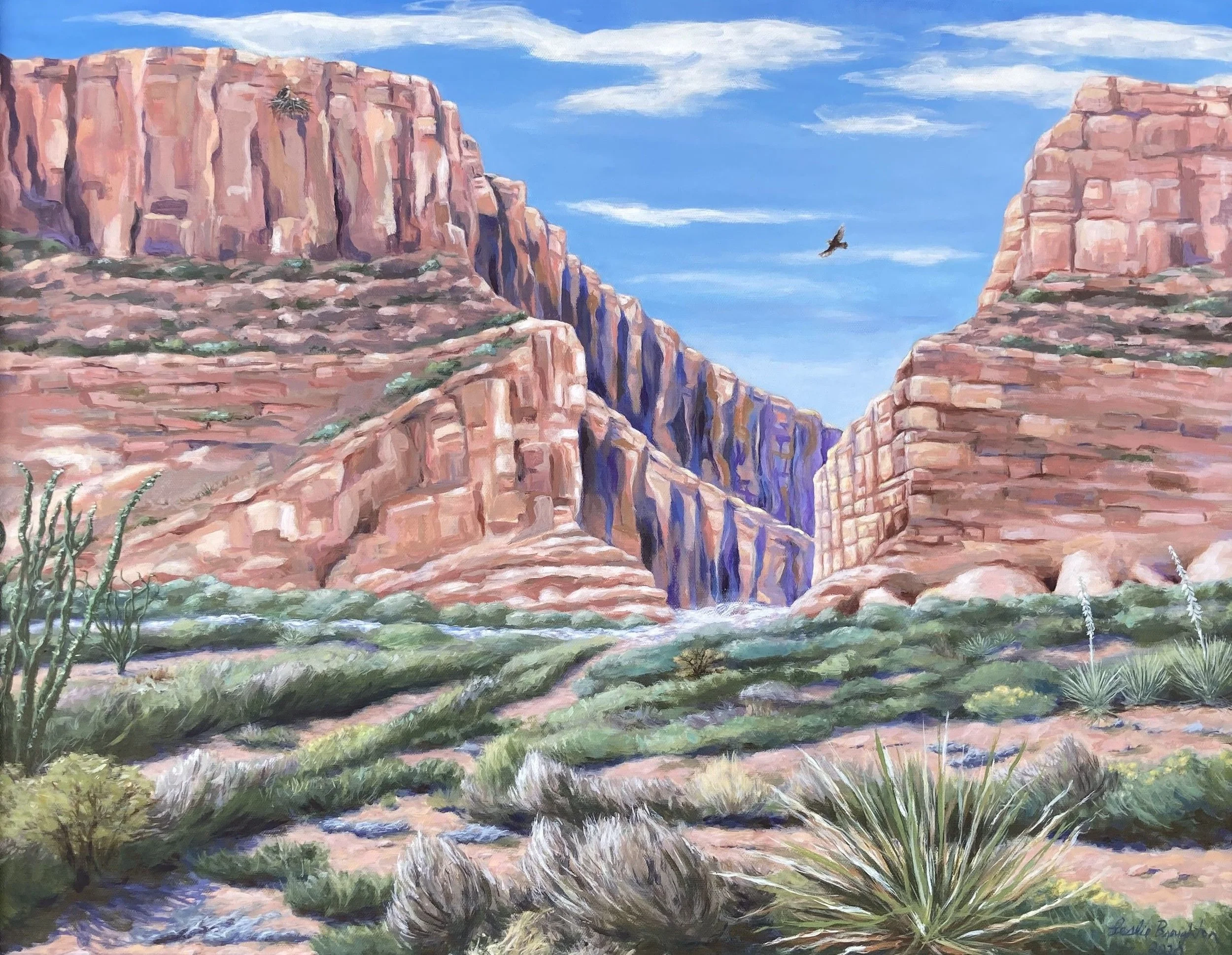6_Santa Elena Canyon.jpg