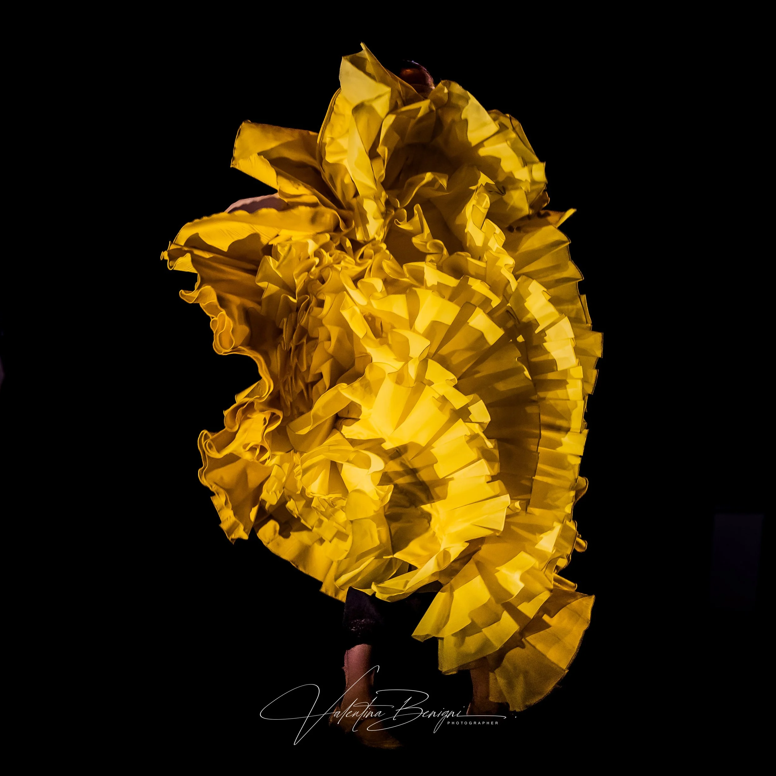 15_I bloom at last.jpg