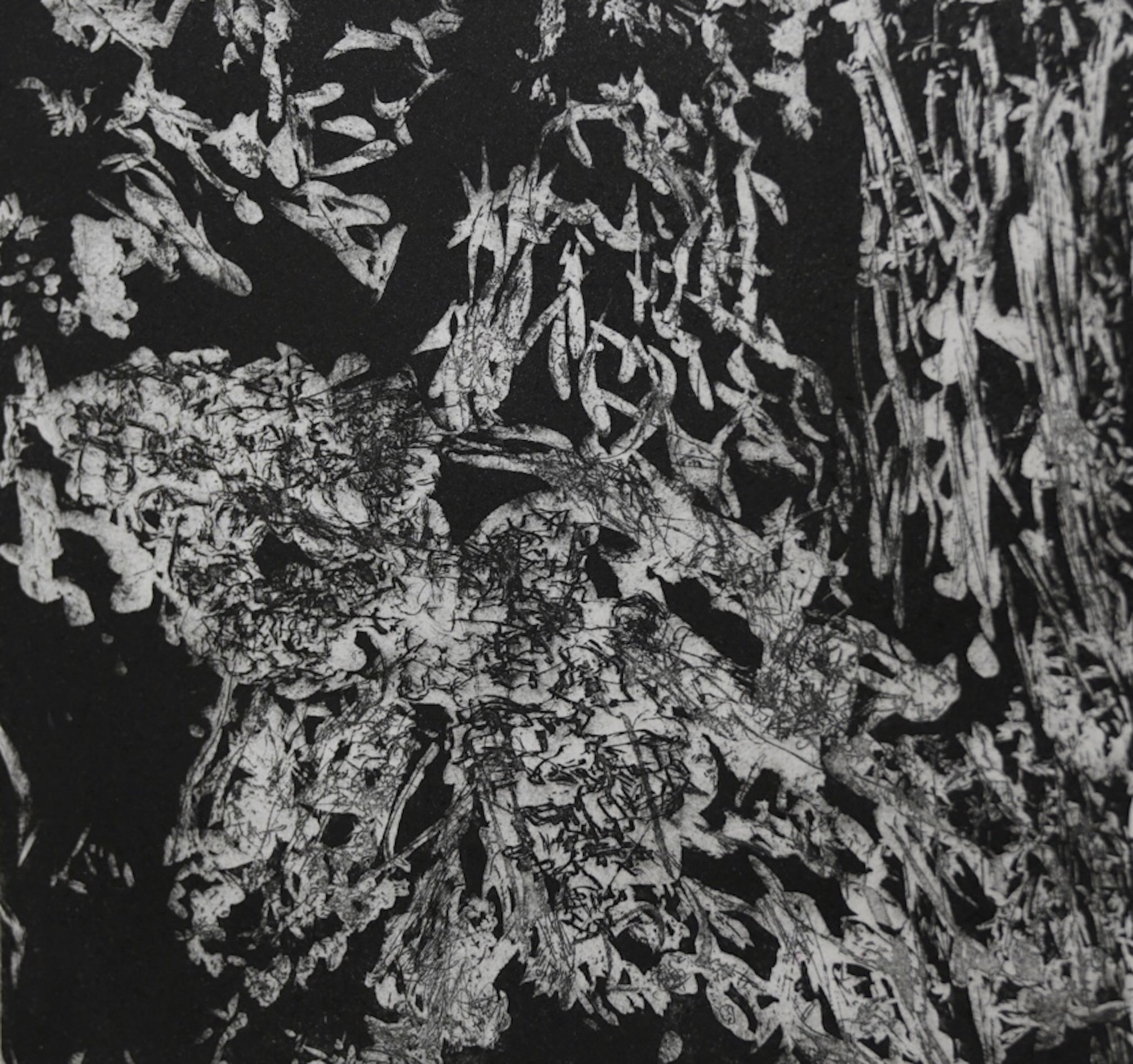 6_The Life of Flowers I.jpeg