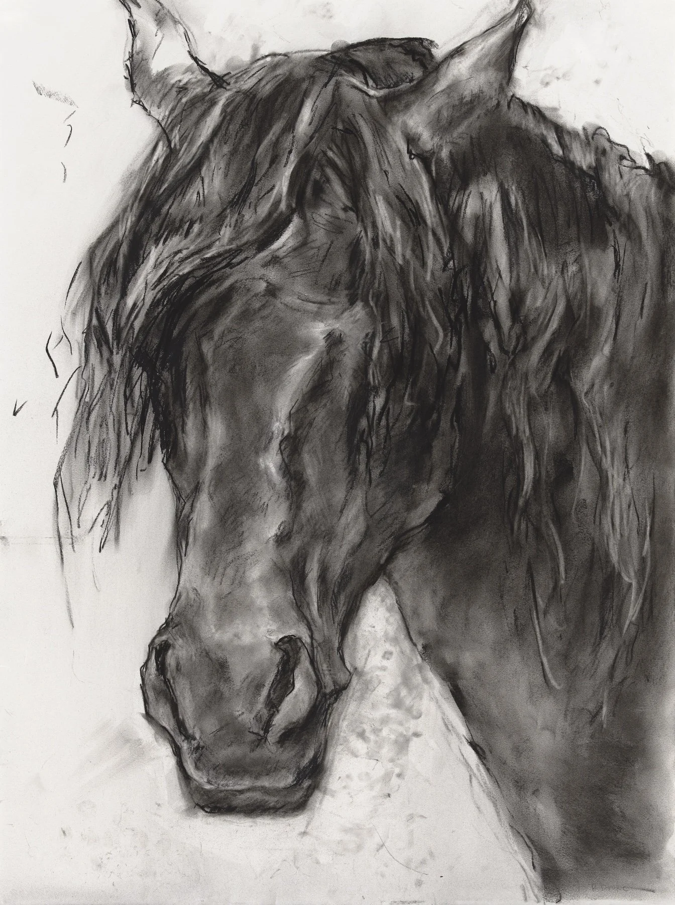 11_Black Stallion_18x24in.jpg