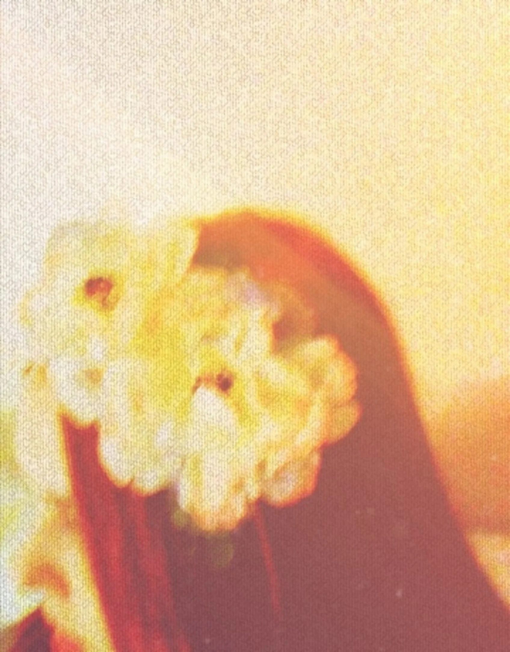 4_Almost Left Behind.jpg