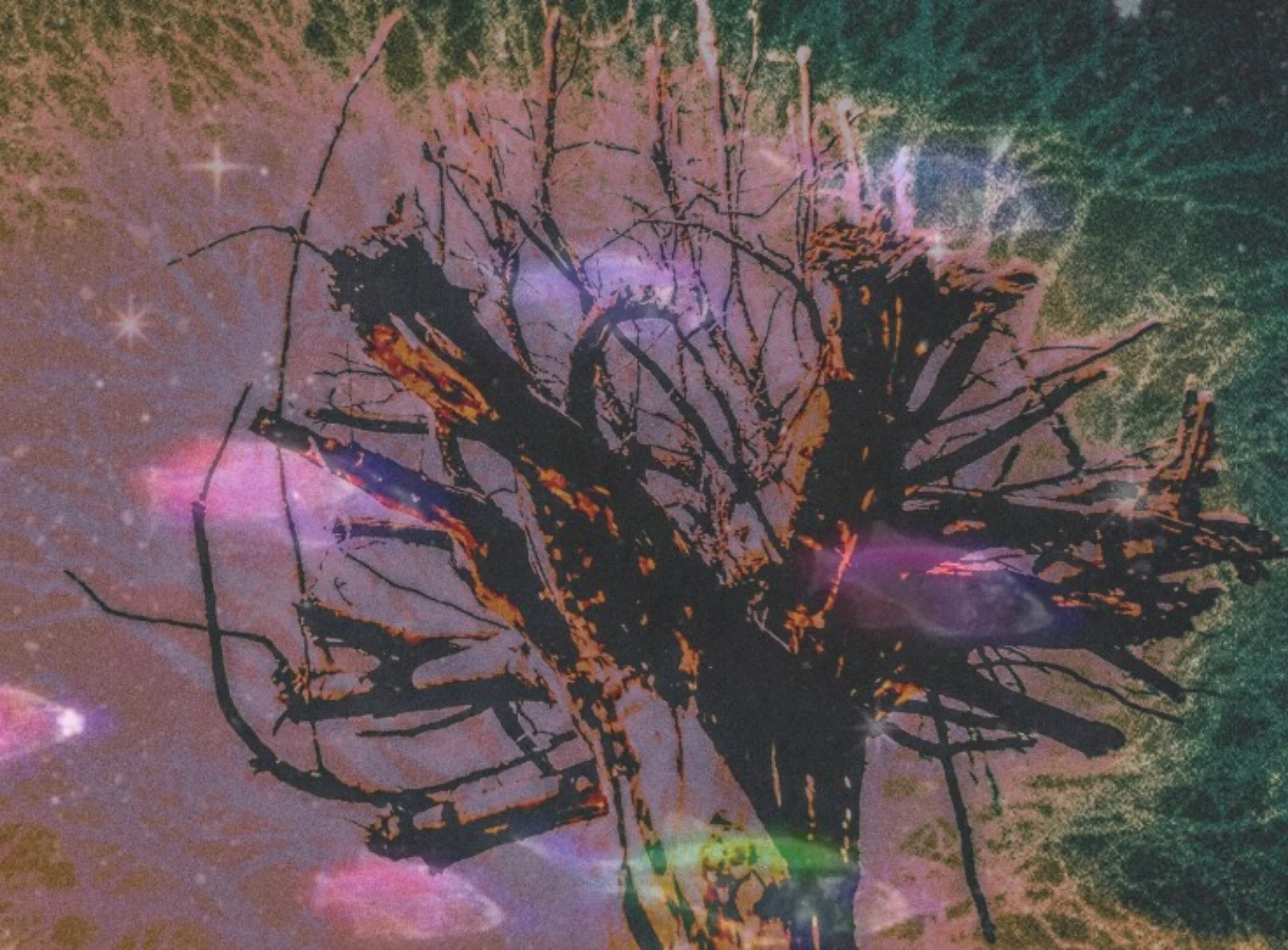 17_The Upside-Down Tree.jpg