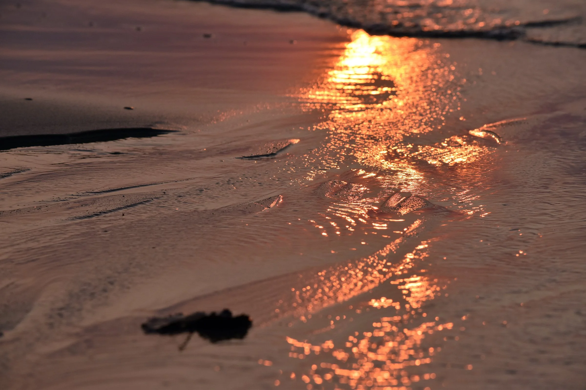 5. Sun Light Crashes Leaf of light life of water.jpg