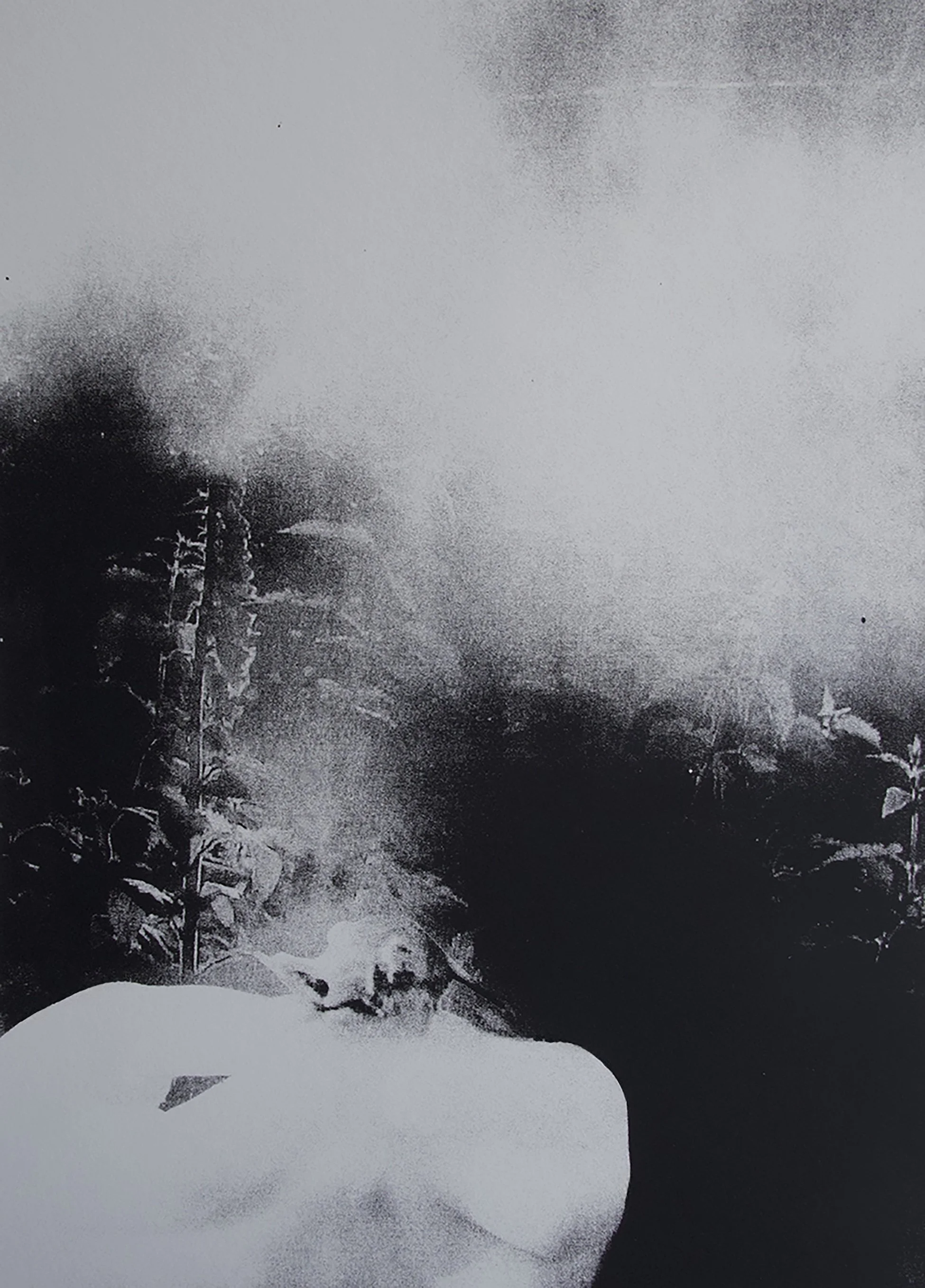 1_The Enchantment I.jpeg