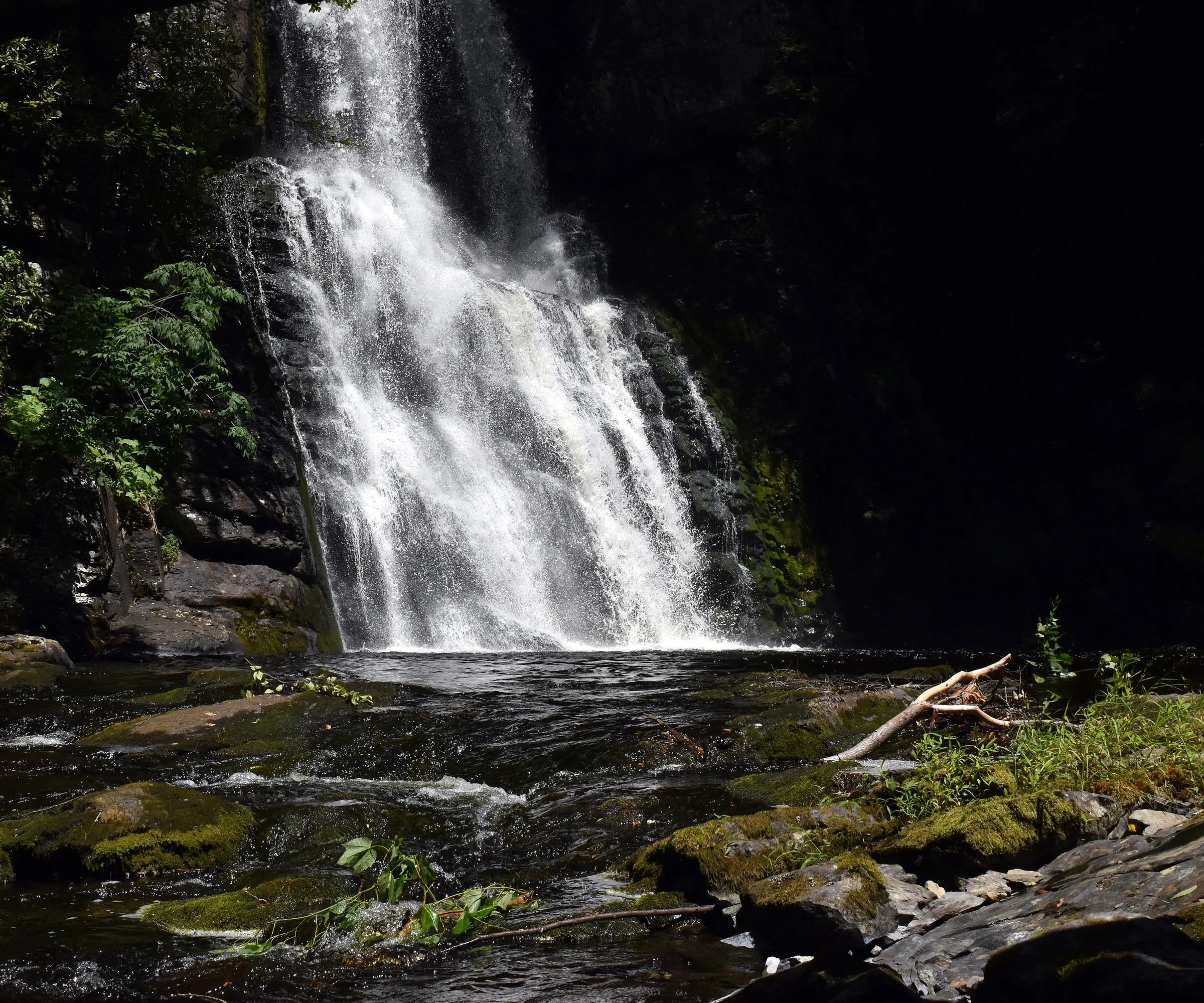 2. Rapture of the Falls.jpg