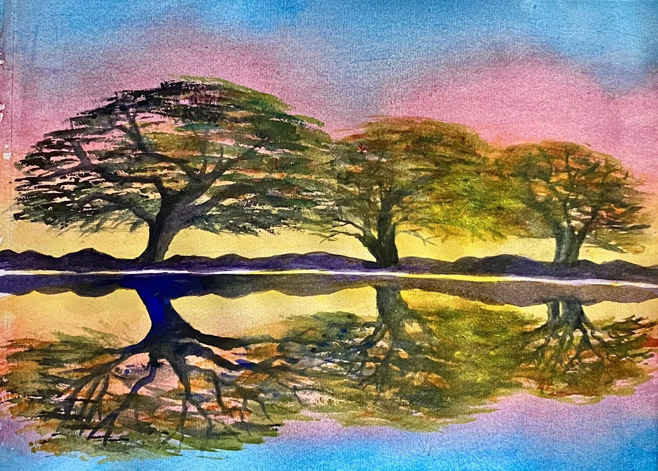 5) Monkey Pod, 2024, WC_Arches, 9x12, Balaski.jpeg