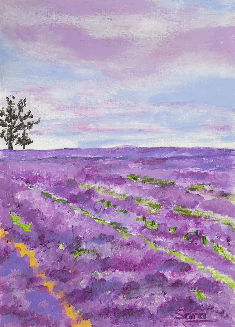 12. Sunset in a lavender field.jpg