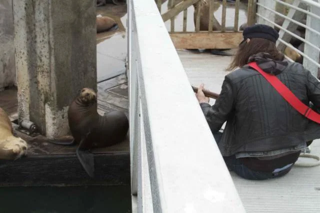 Jason Holt of Spectrum plays for sea lions at Moss Landing, CA.