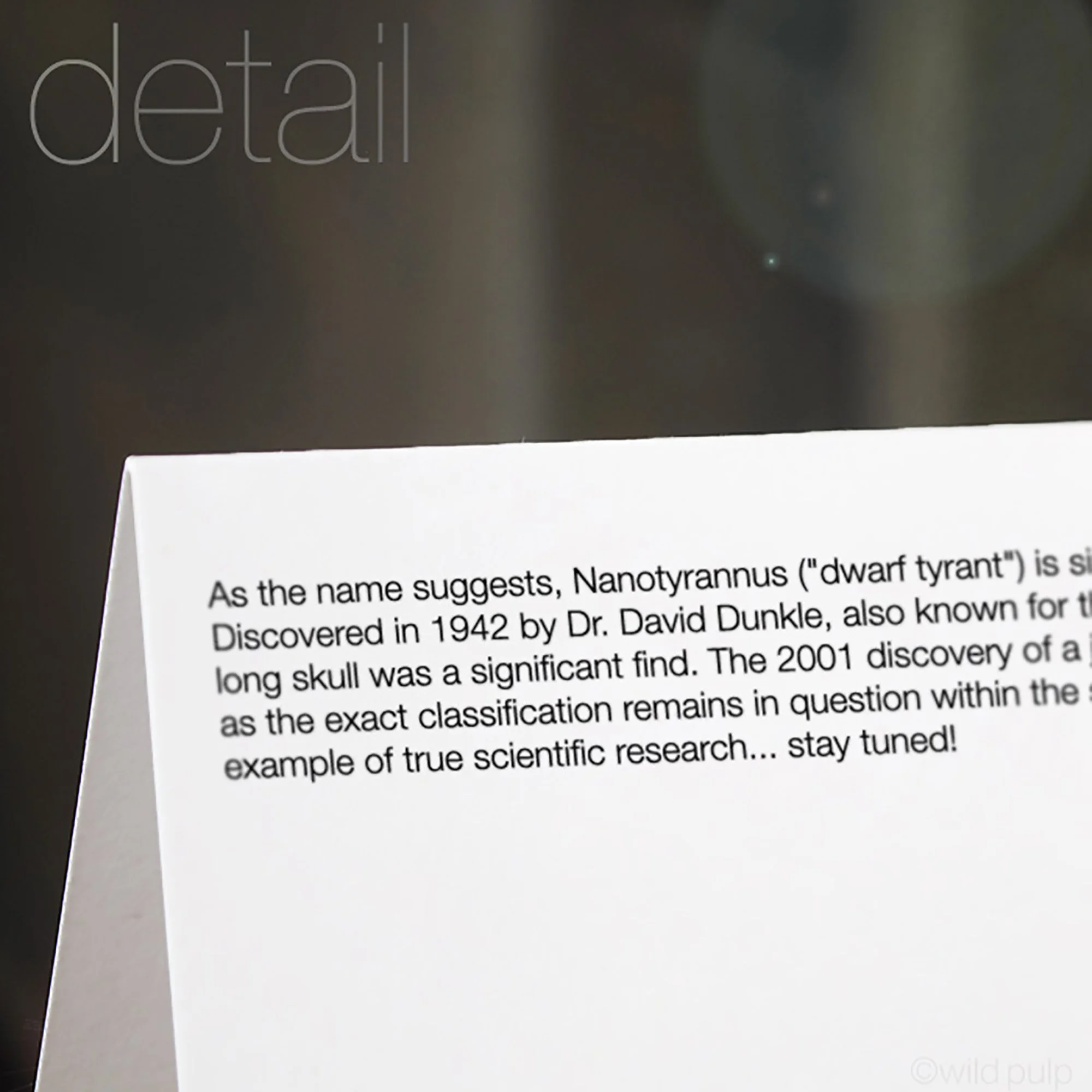 The back of the Nanotyrannus note card displaying the prehistoric species educational facts.