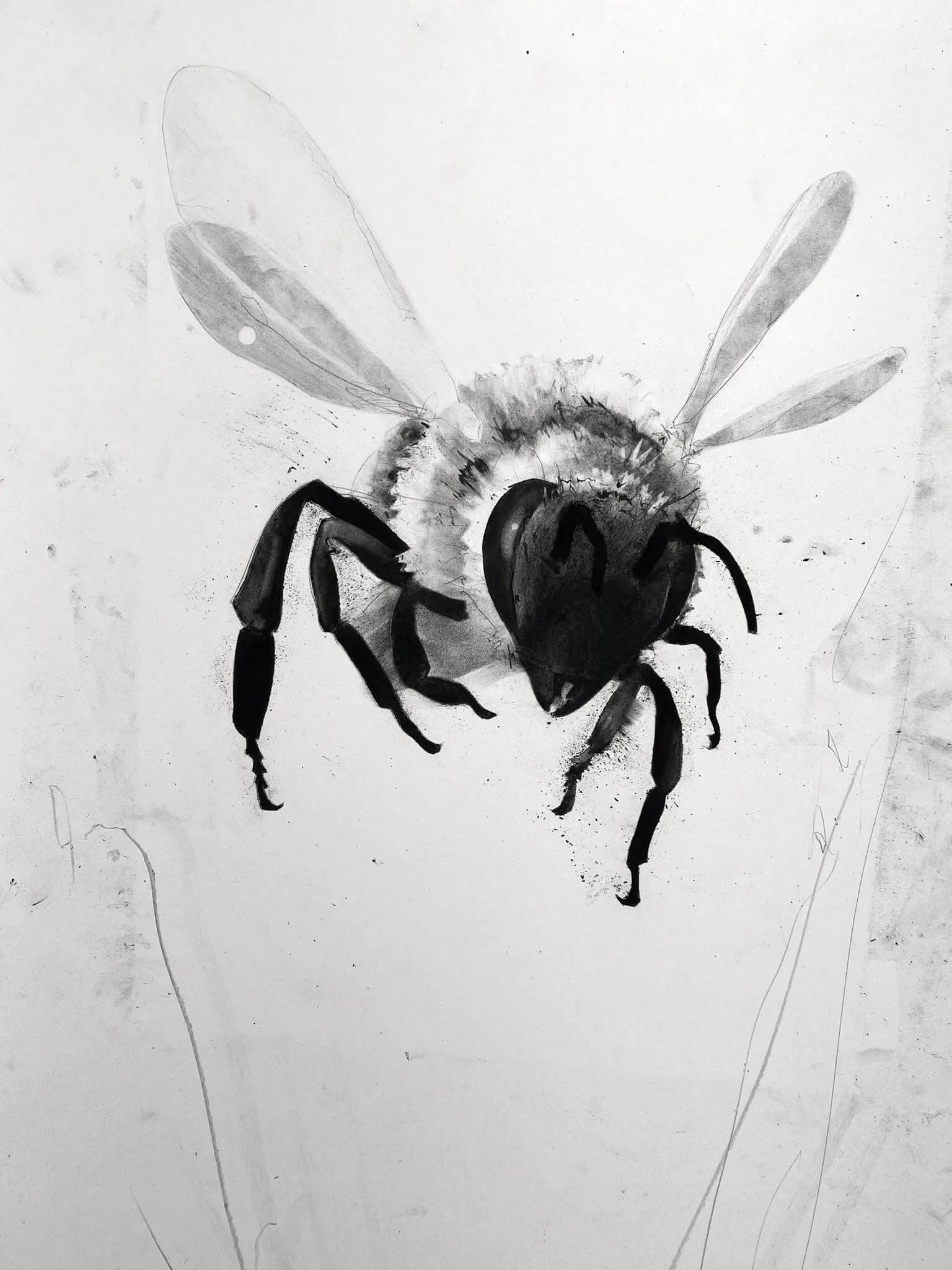 honey-bee-wall-art.jpg
