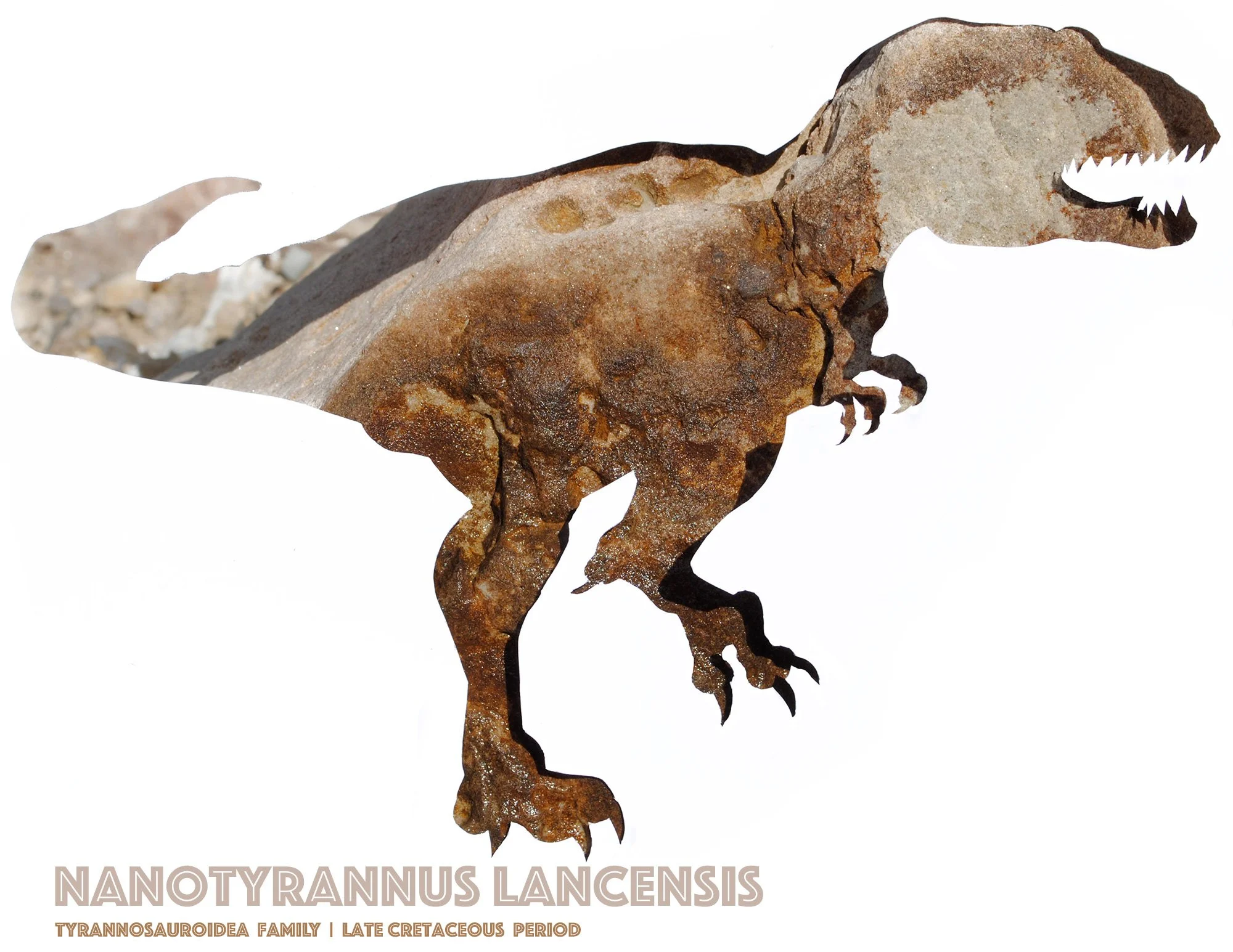 nanotyrannus-wall-art-print.jpg