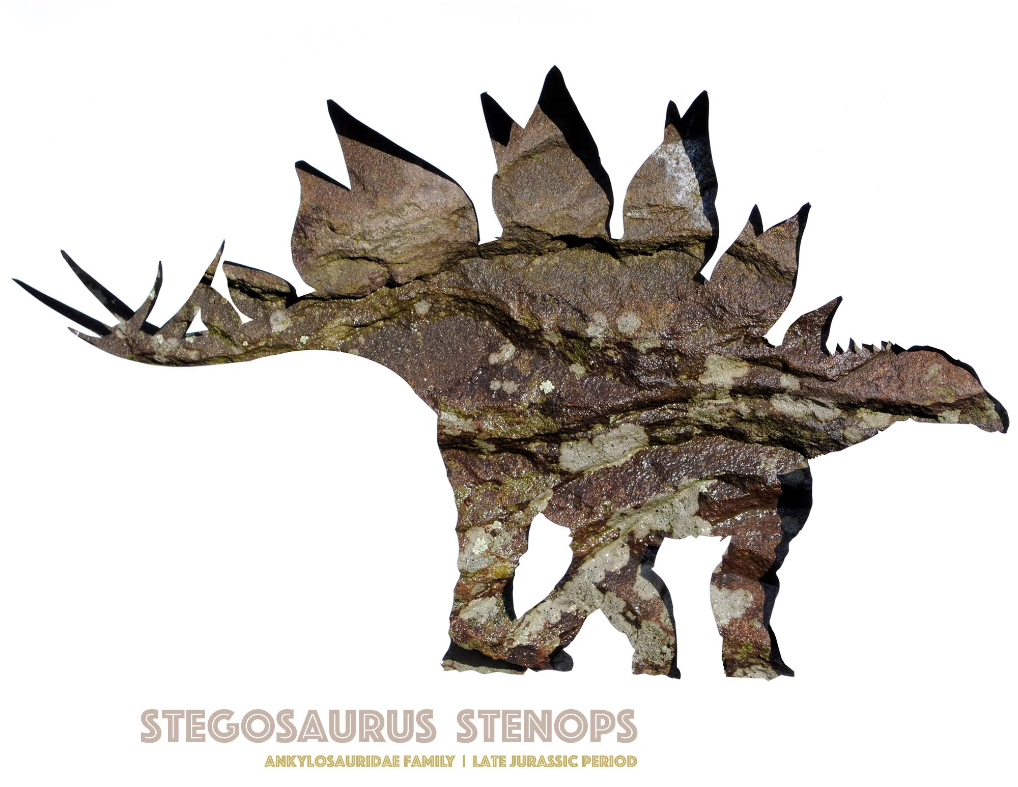 stegosaurus-wall-art-print.jpg