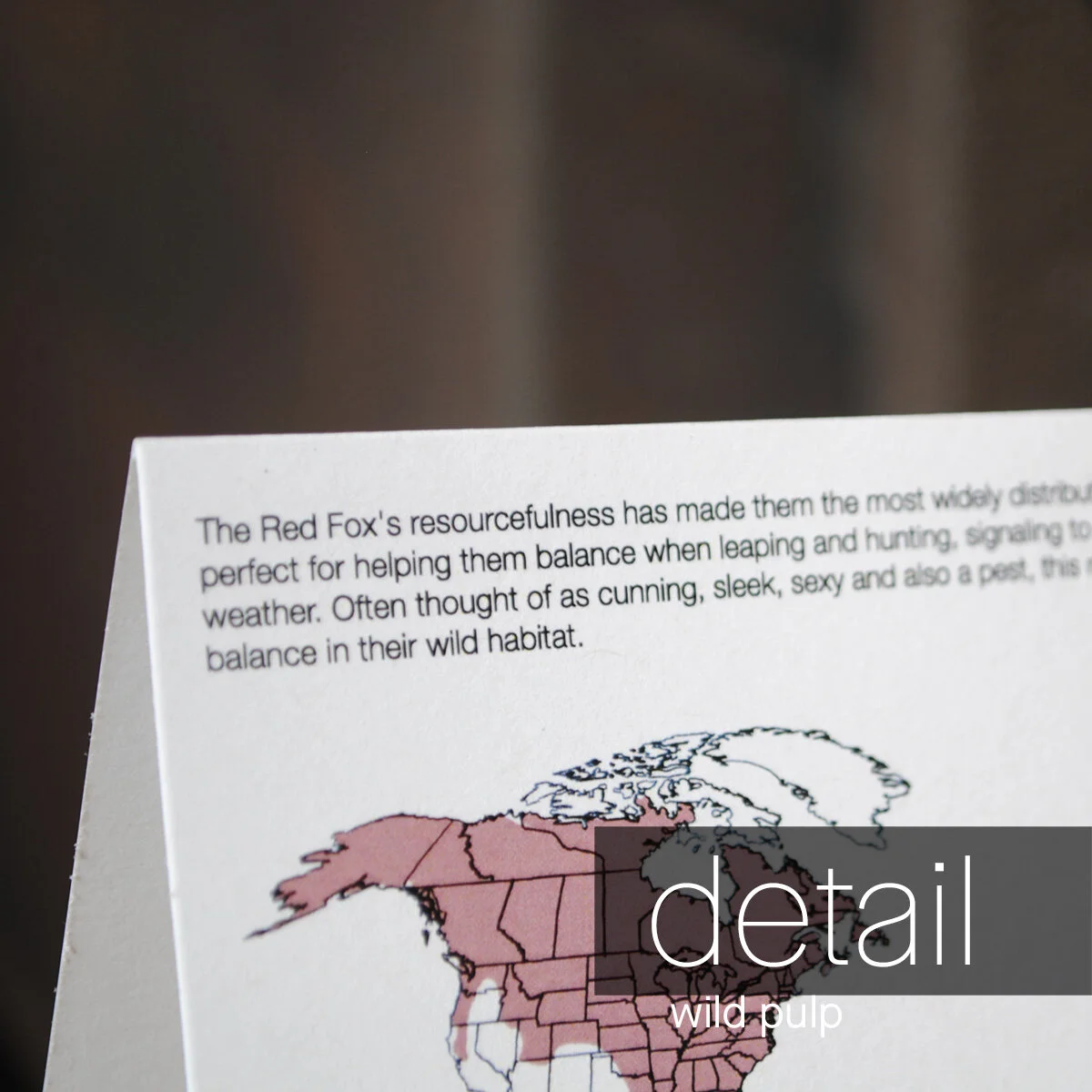Back of Red Fox blank note card showing educational species information and North American habitat range map.