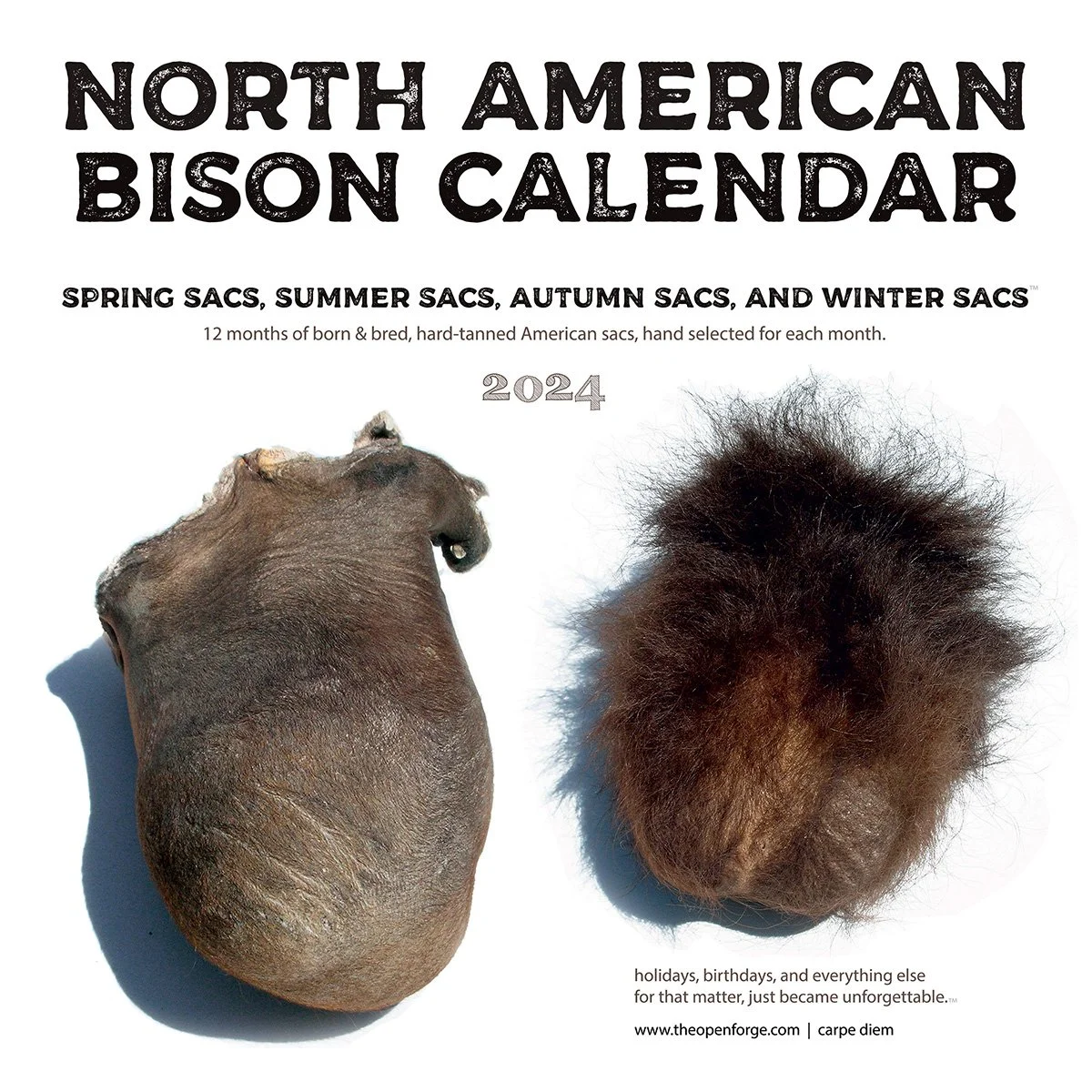 2024 Bison Sac Wall Calendar