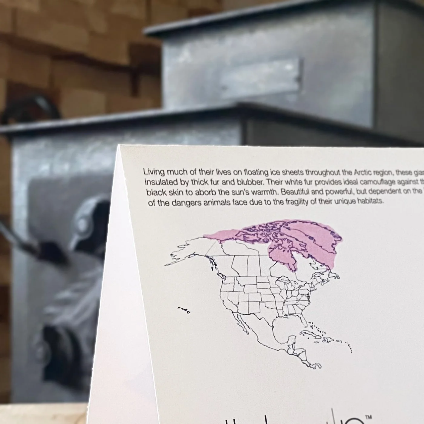Back of wildlife stationery card showing educational Polar Bear facts and illustrated habitat map.