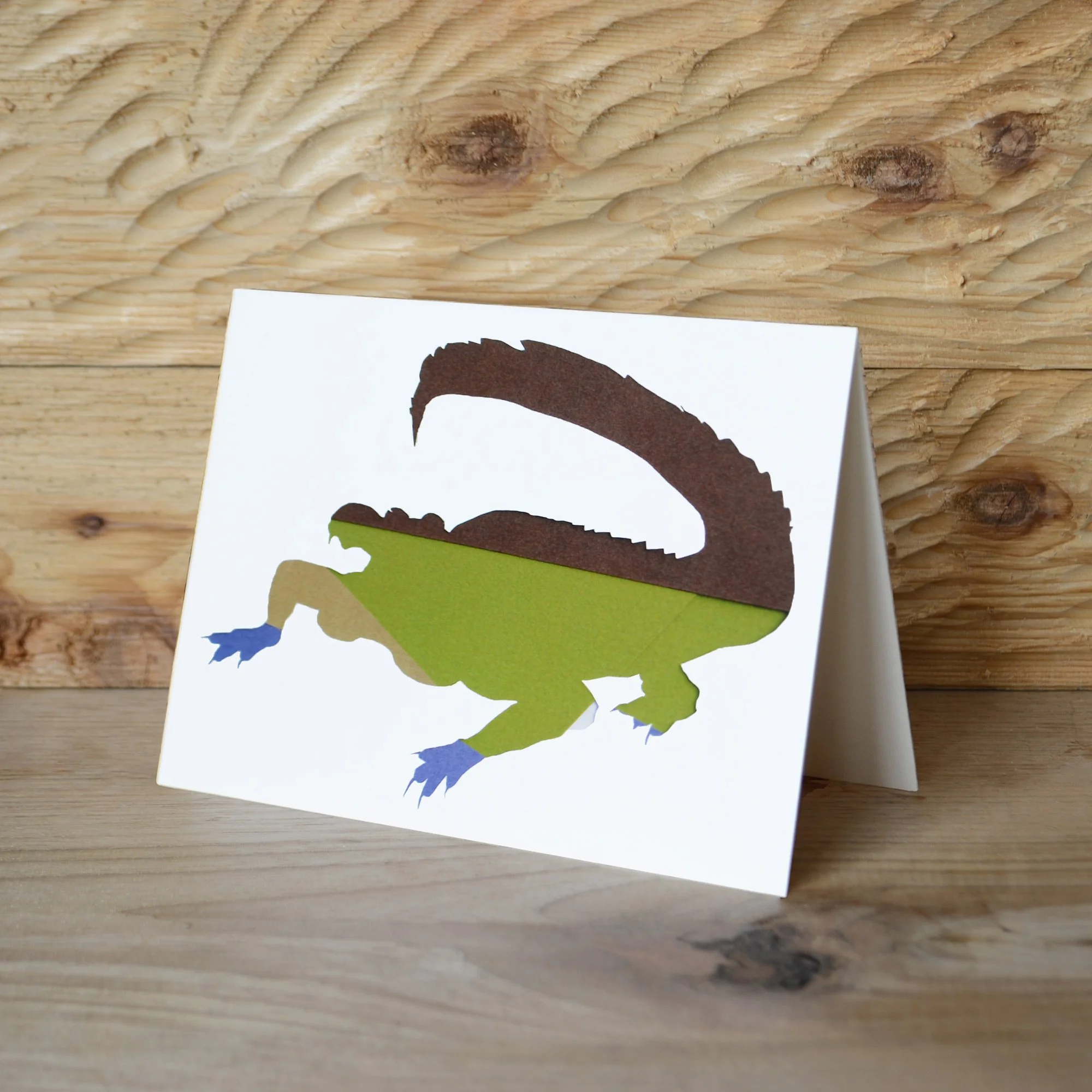 American Alligator Note Cards