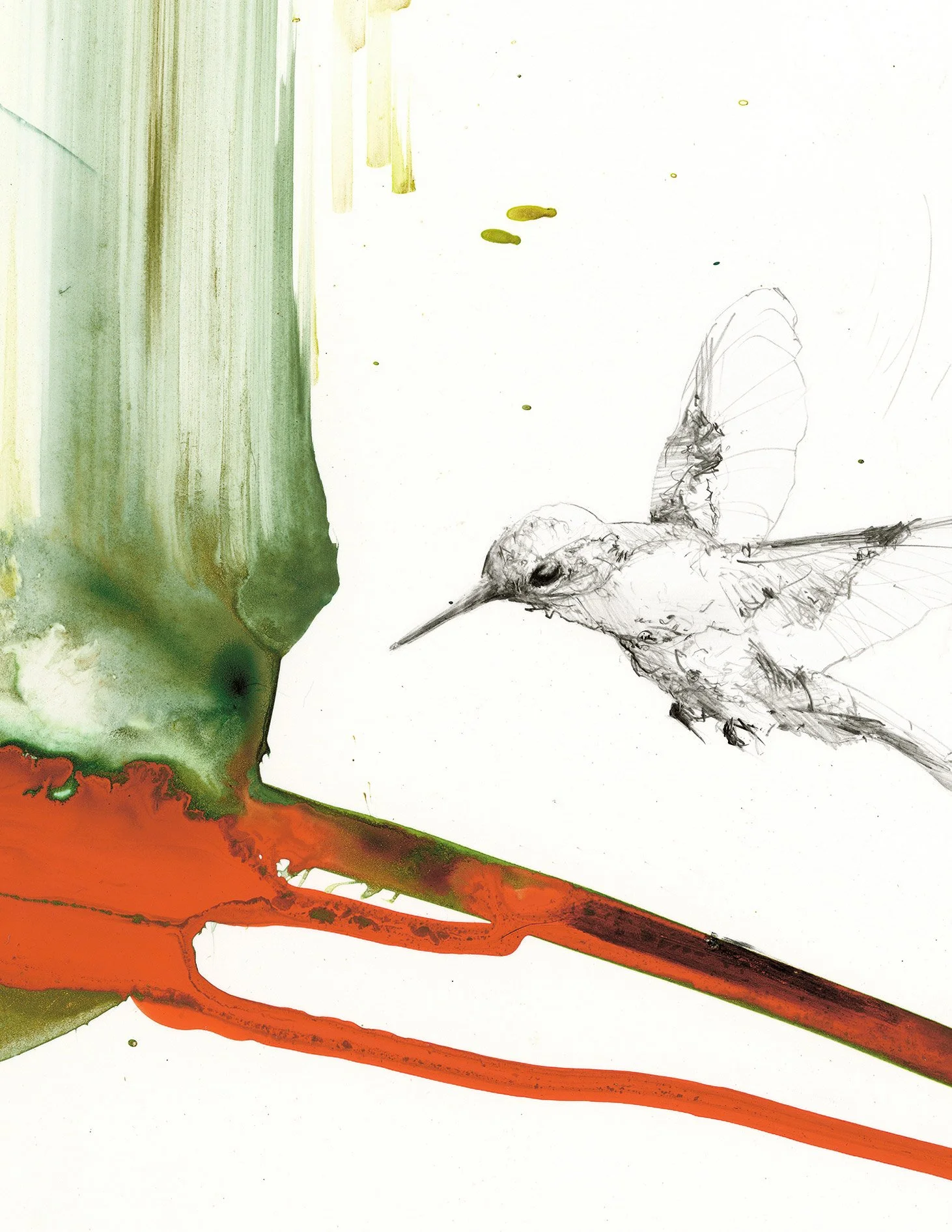 Close-up detail of the Anna's hummingbird print showing delicate graphite line work, translucent wings, expressive gouache washes, and the orange feeder.