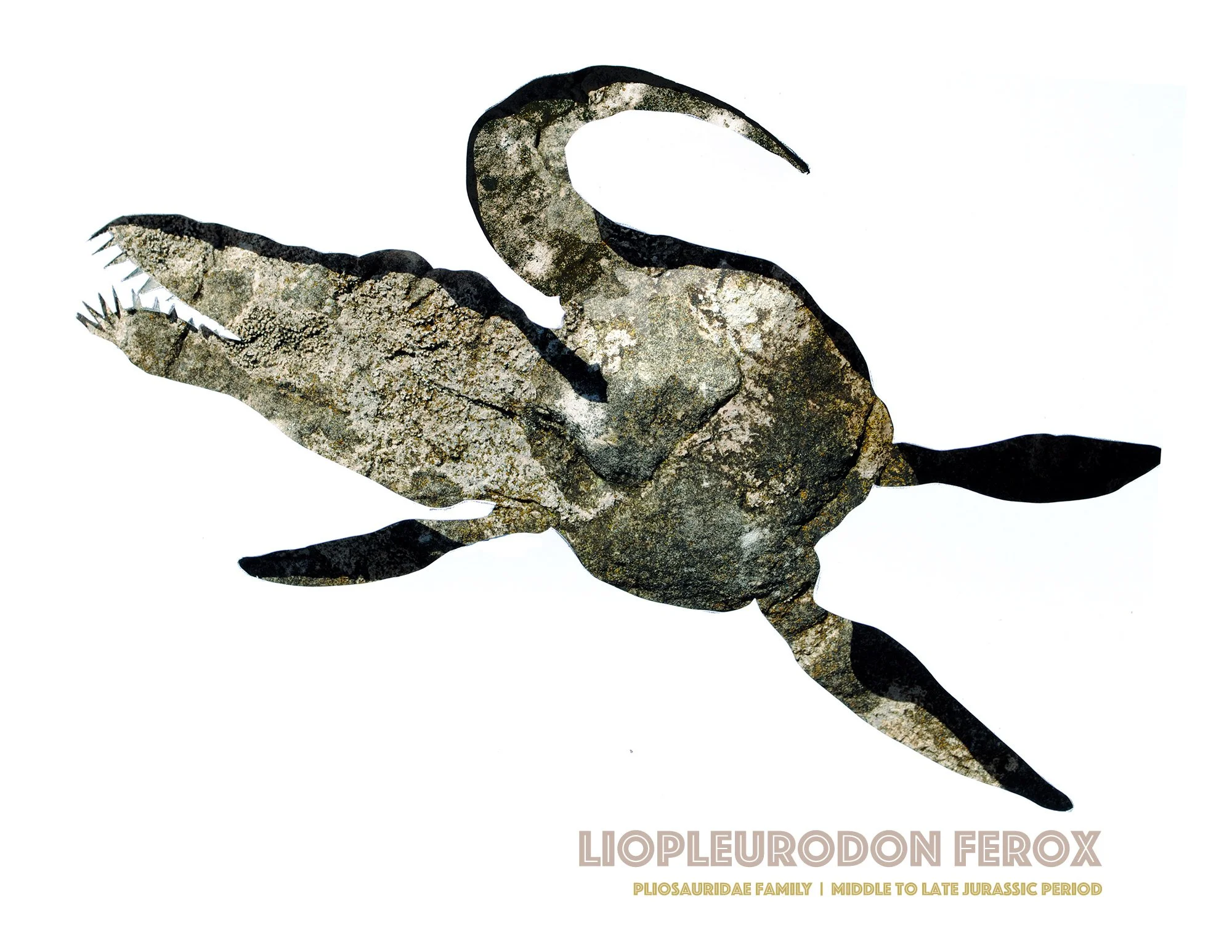 liopleurodon-wall-art-print.jpg