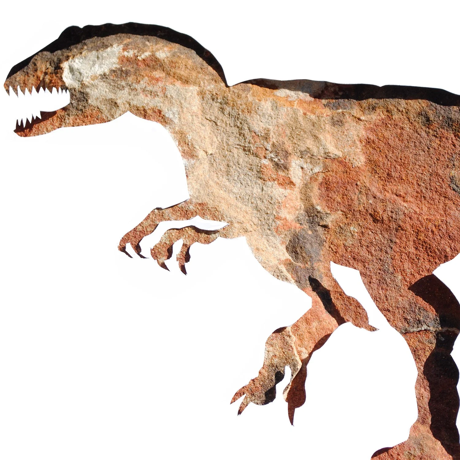 Allosaurus in Stone | dinosaur print