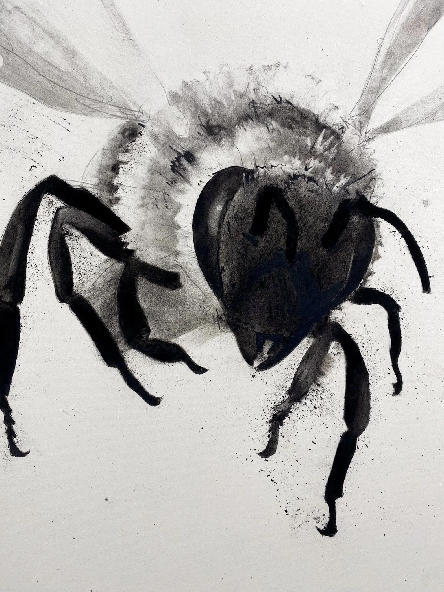 Close-up detail of the original charcoal and graphite honey bee drawing showing expressive texture and layered mark-making.