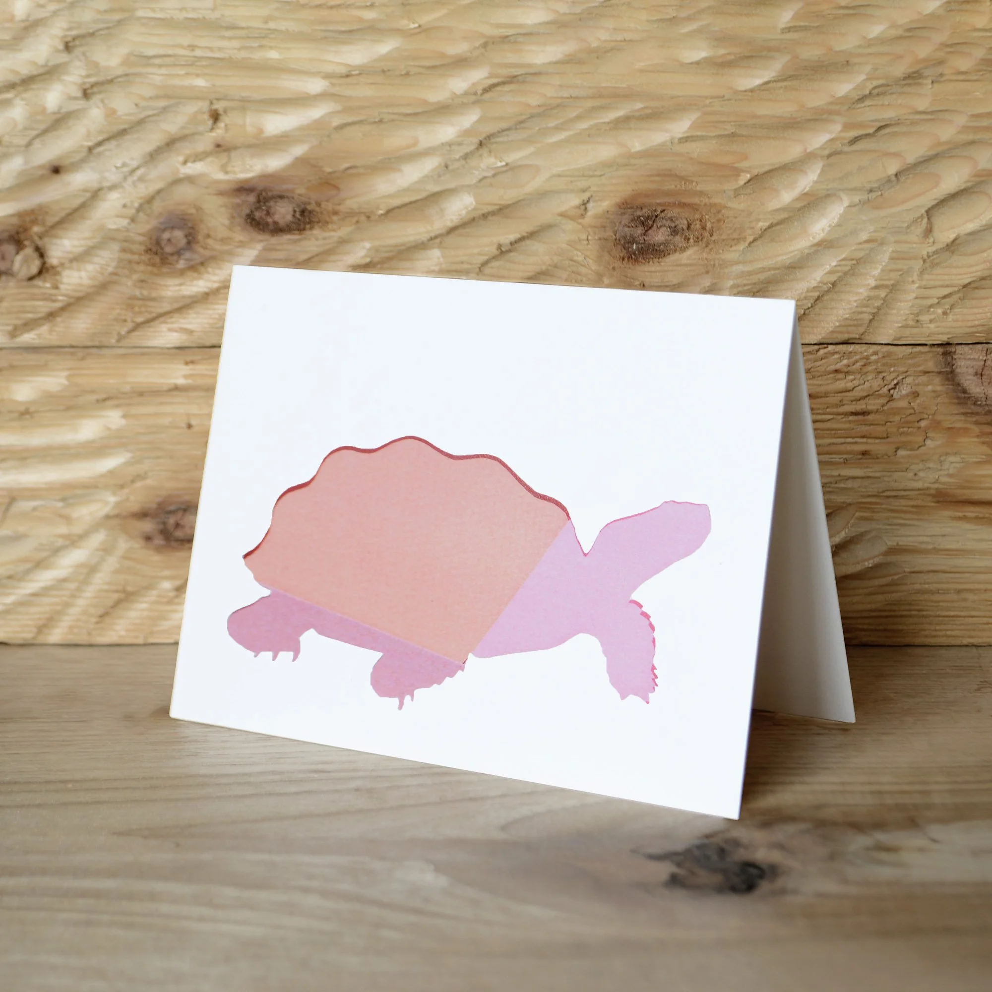 Desert Tortoise Note Cards