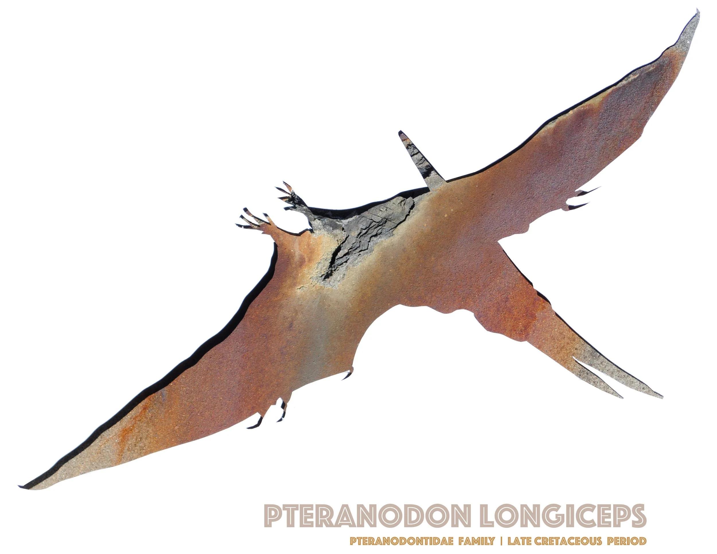 pteranodon-wall-art-print.jpg