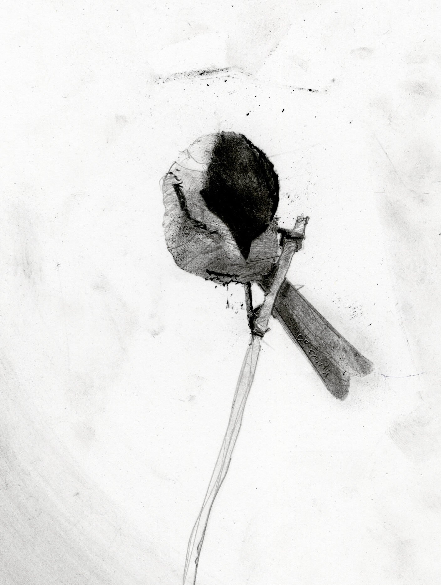 Close-up detail of the black-capped chickadee drawing showing expressive graphite and charcoal mark-making, layered feather textures, and the bird's distinctive black cap and bib.