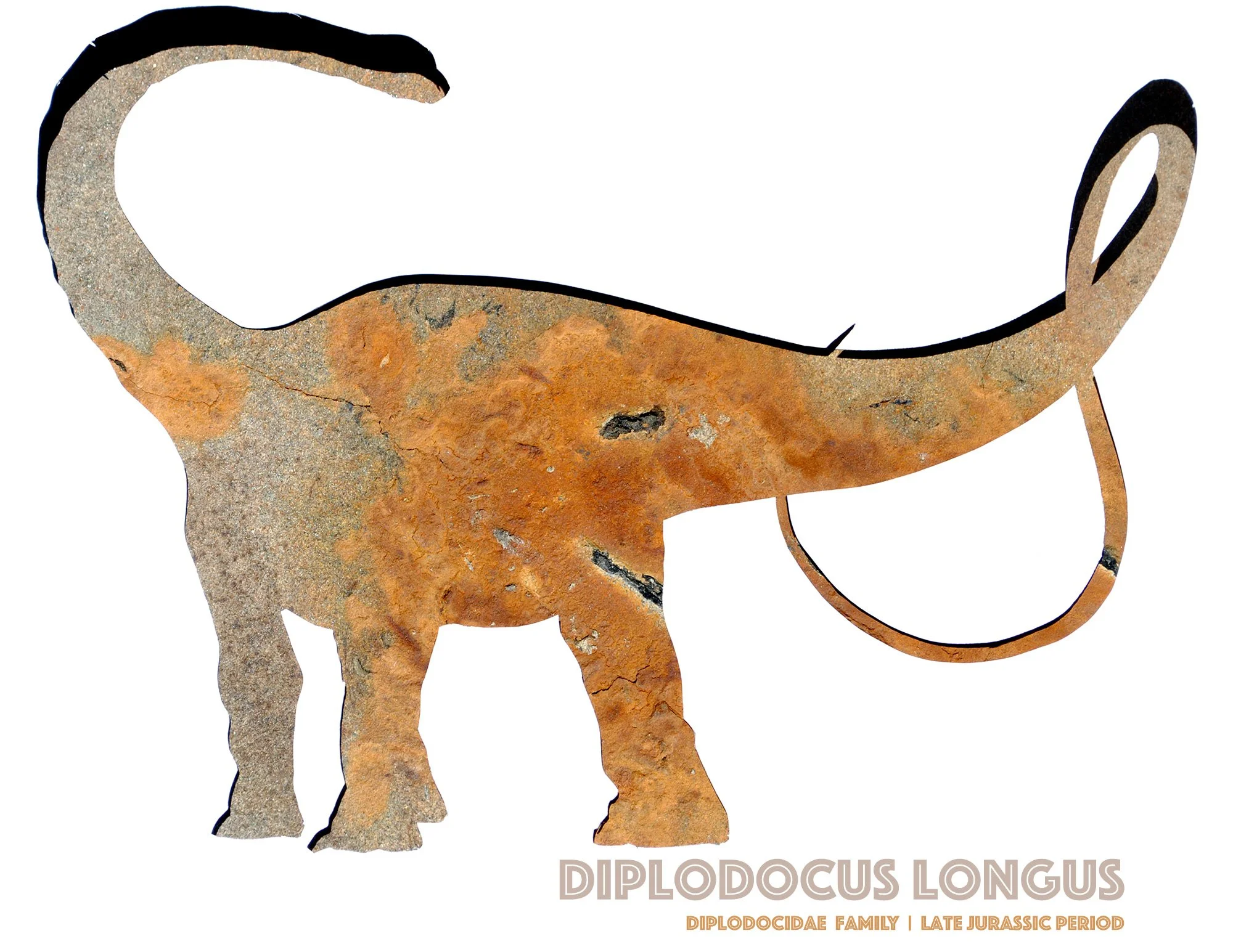 diplodocus-wall-art-print.jpg
