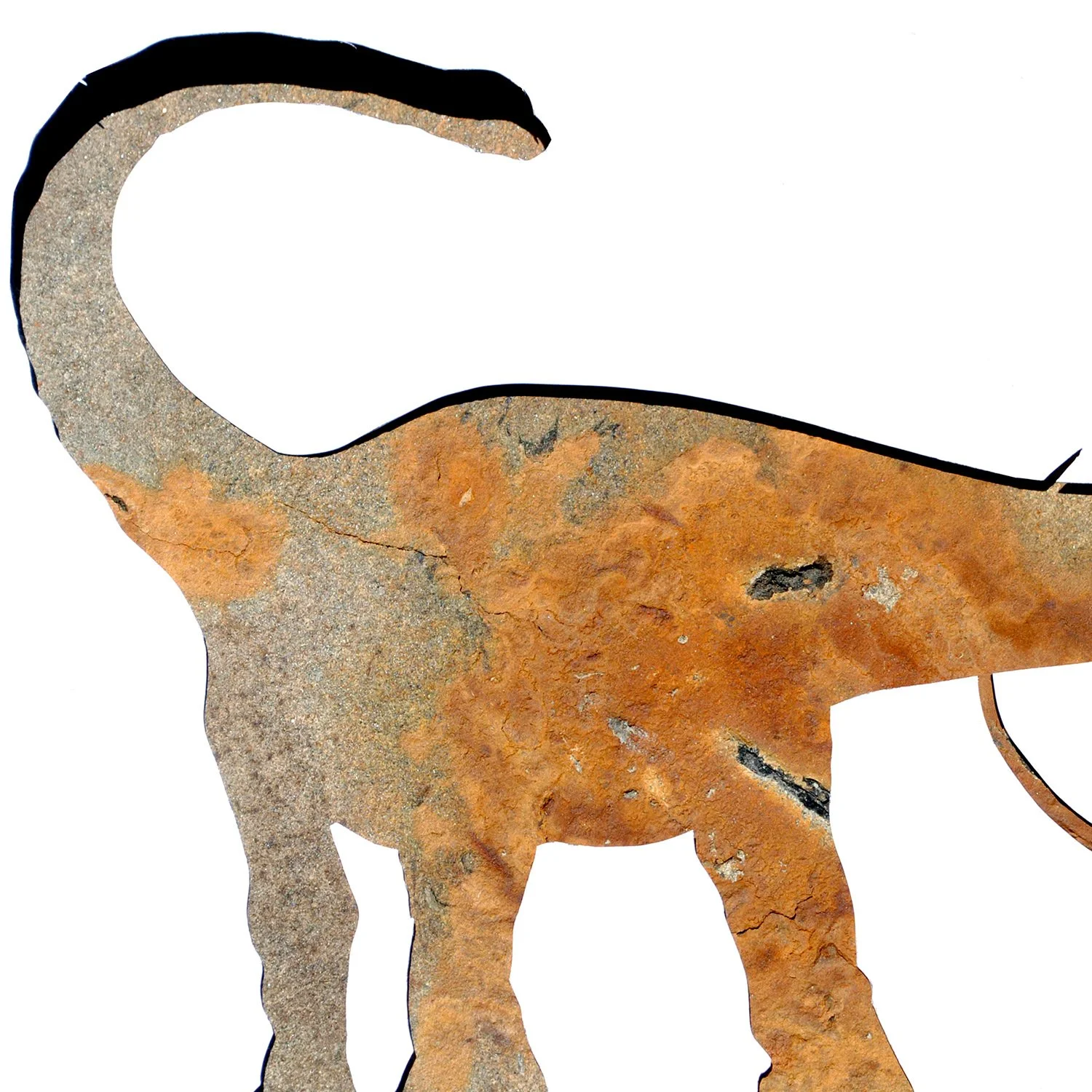 Diplodocus in Stone | dinosaur print