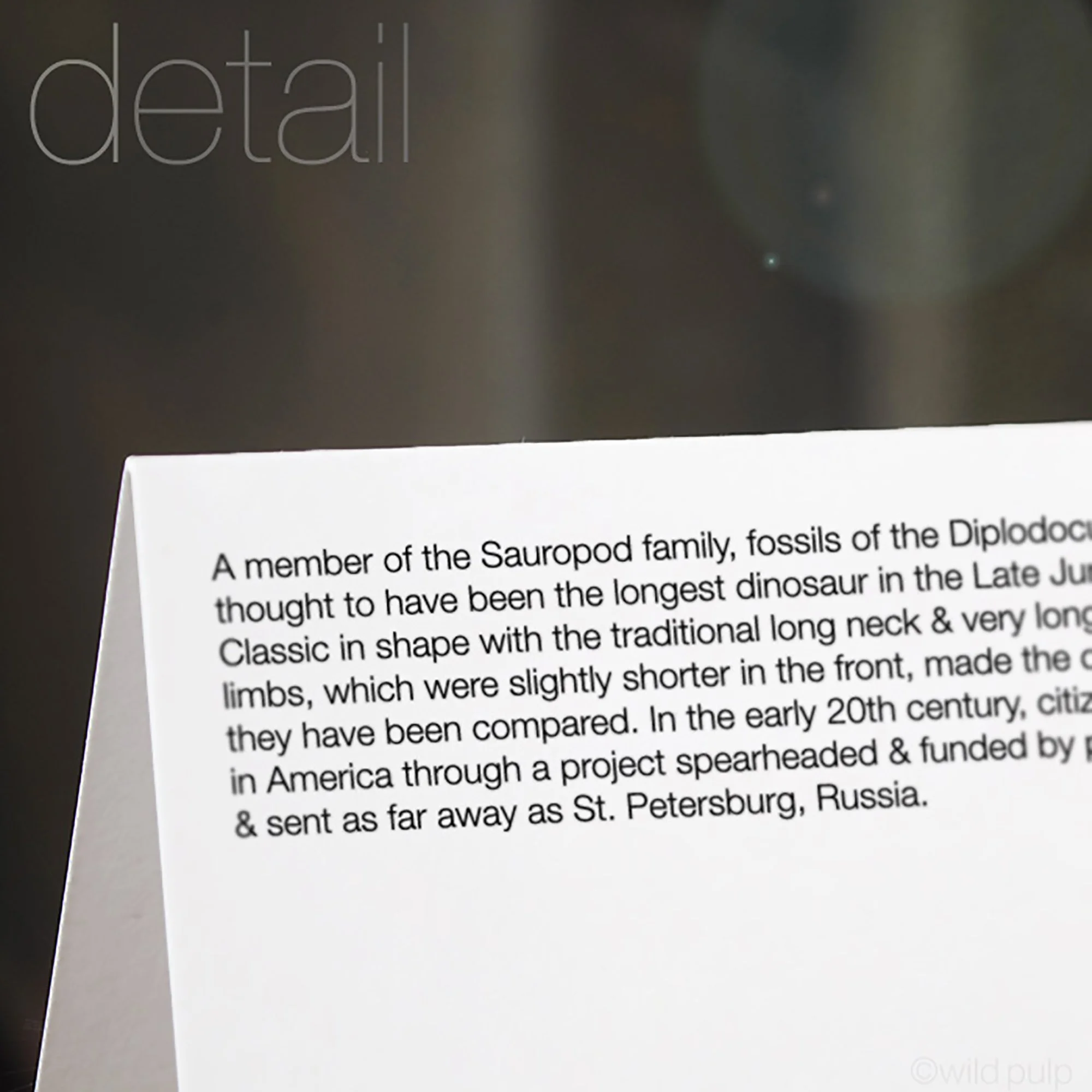 he back of the Diplodocus note card displaying the prehistoric species educational facts.